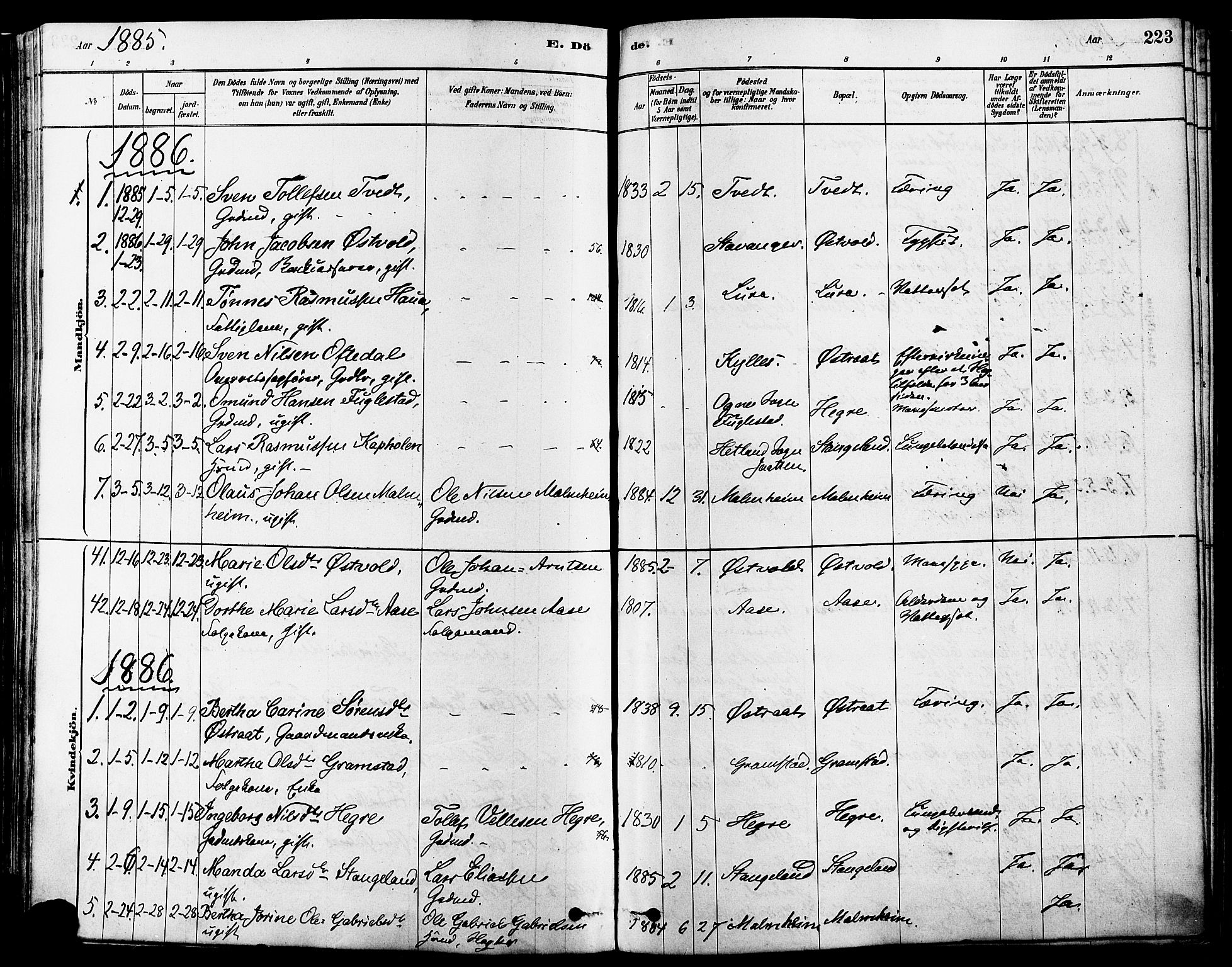 Høyland sokneprestkontor, SAST/A-101799/001/30BA/L0011: Parish register (official) no. A 10, 1878-1888, p. 223