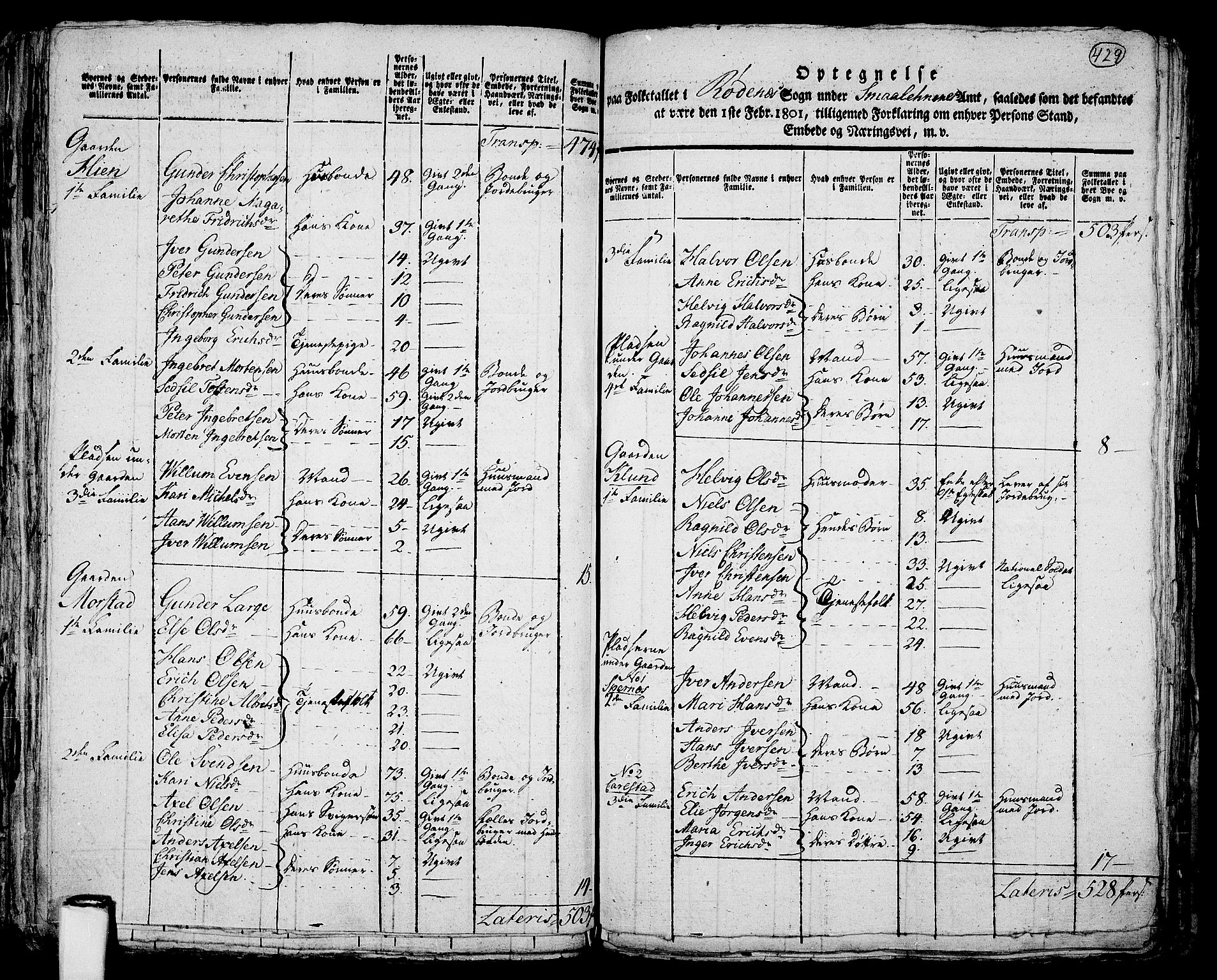 RA, 1801 census for 0120P Rødenes, 1801, p. 428b-429a