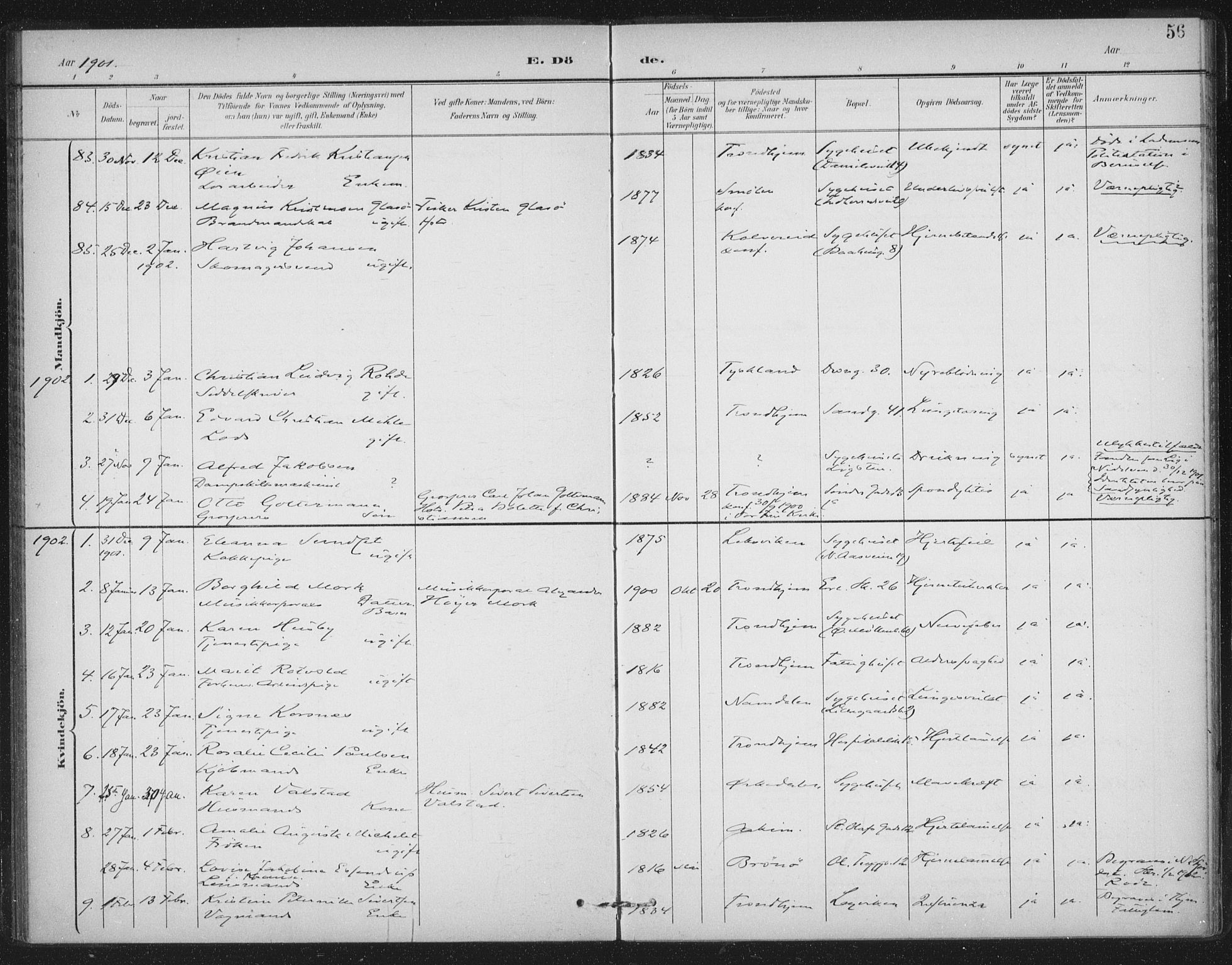 Ministerialprotokoller, klokkerbøker og fødselsregistre - Sør-Trøndelag, AV/SAT-A-1456/602/L0123: Parish register (official) no. 602A21, 1895-1910, p. 56