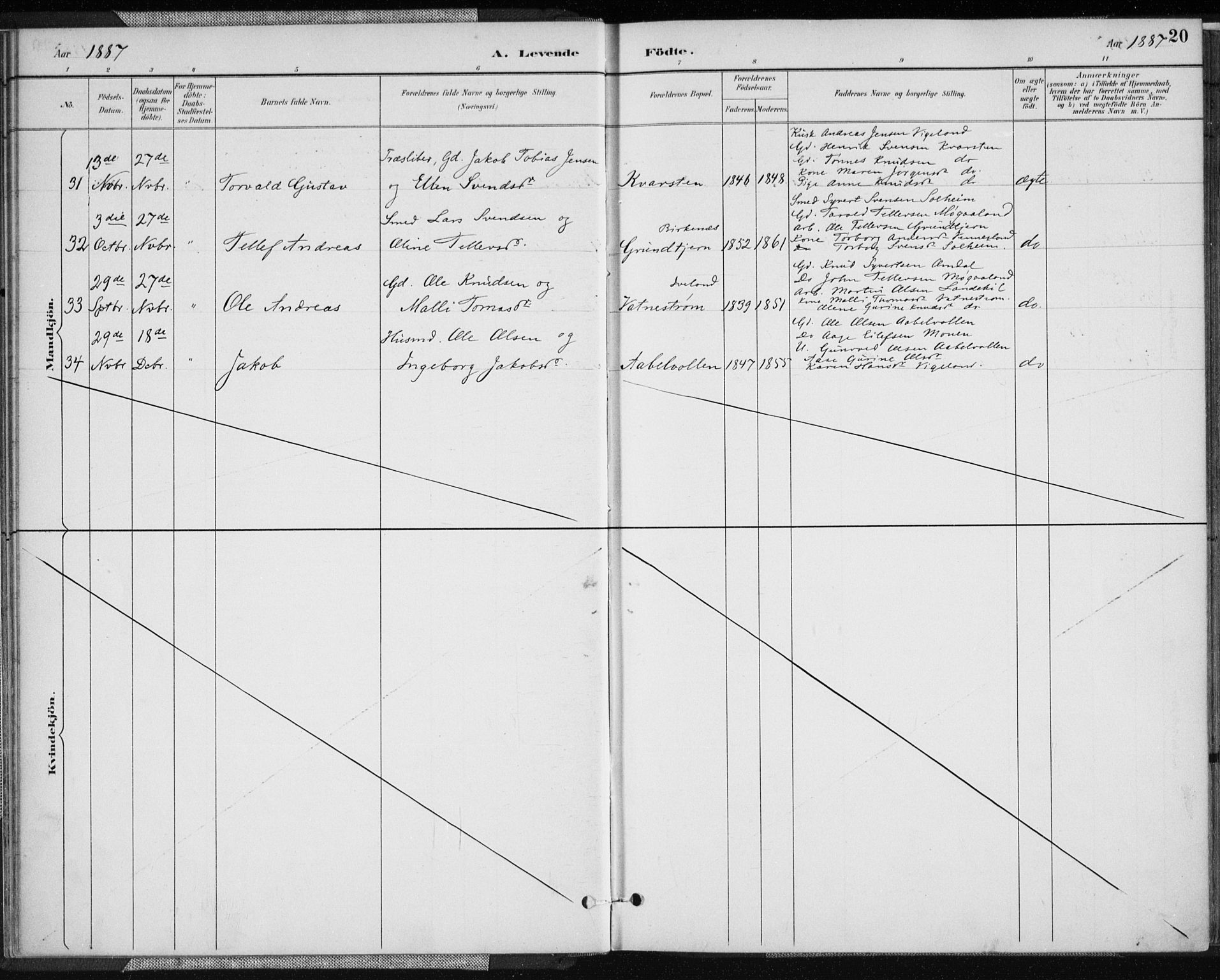 Vennesla sokneprestkontor, AV/SAK-1111-0045/Fa/Fab/L0004: Parish register (official) no. A 4, 1884-1896, p. 20