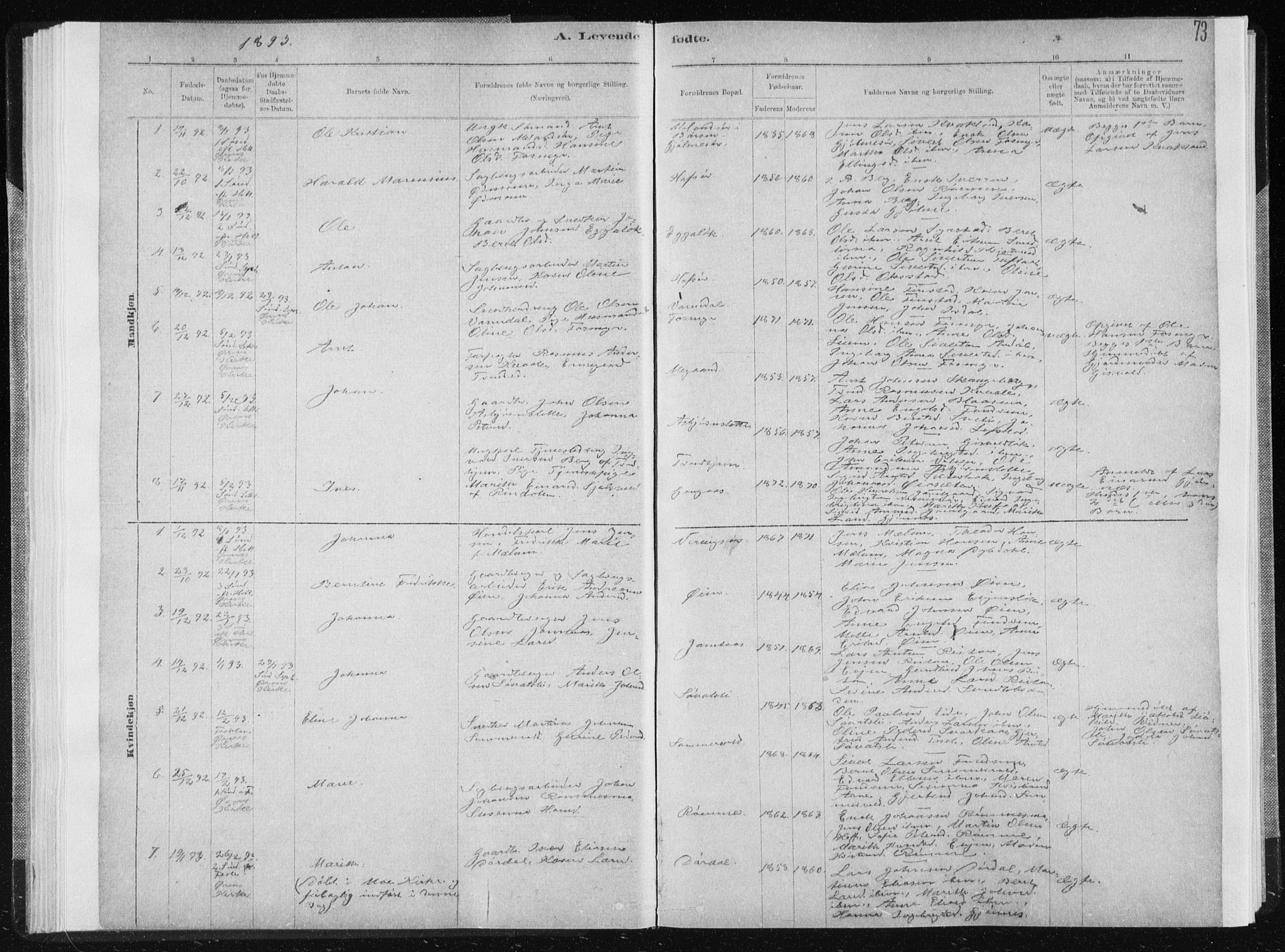 Ministerialprotokoller, klokkerbøker og fødselsregistre - Sør-Trøndelag, SAT/A-1456/668/L0818: Parish register (copy) no. 668C07, 1885-1898, p. 73
