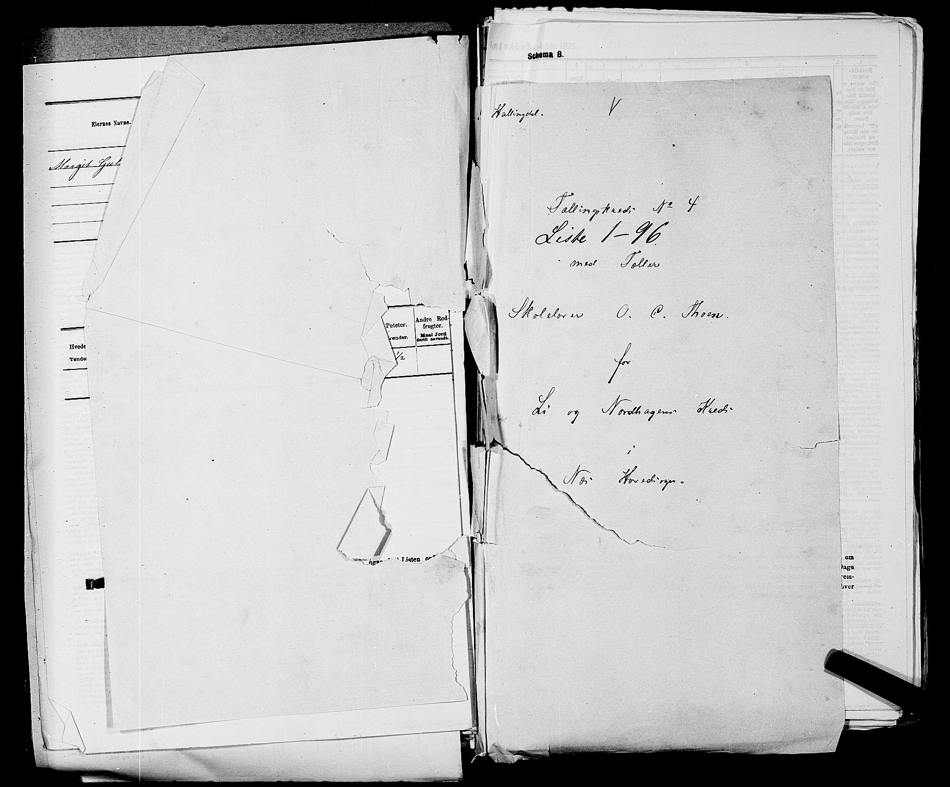 SAKO, 1875 census for 0616P Nes, 1875, p. 647