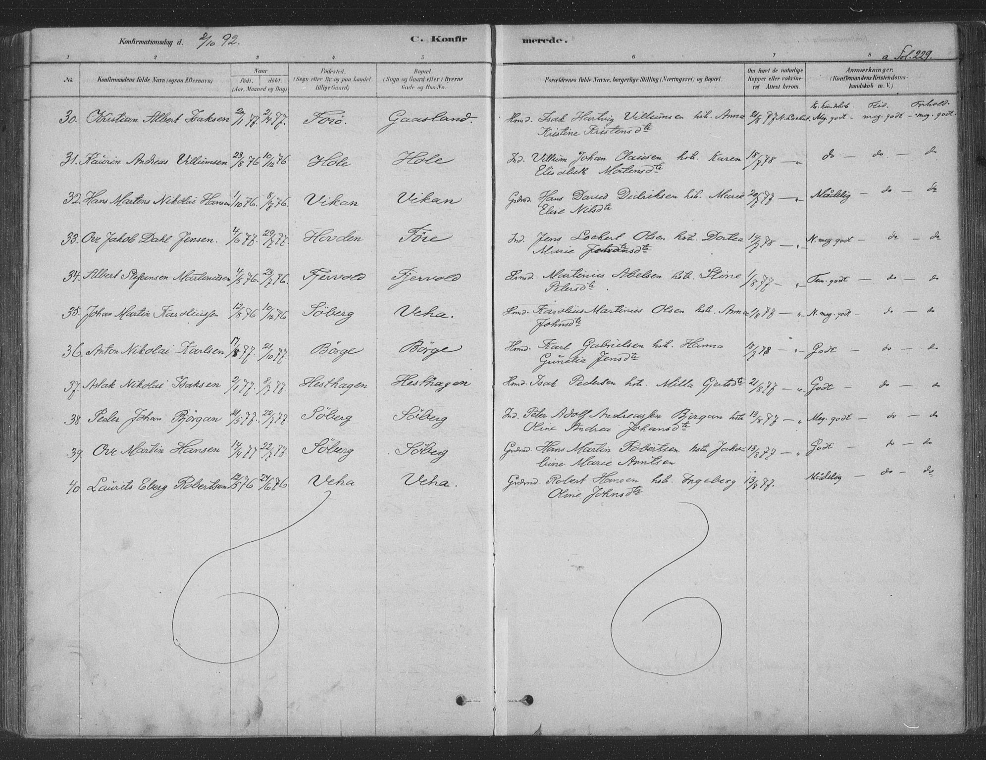 Ministerialprotokoller, klokkerbøker og fødselsregistre - Nordland, AV/SAT-A-1459/891/L1302: Parish register (official) no. 891A07, 1878-1895, p. 229