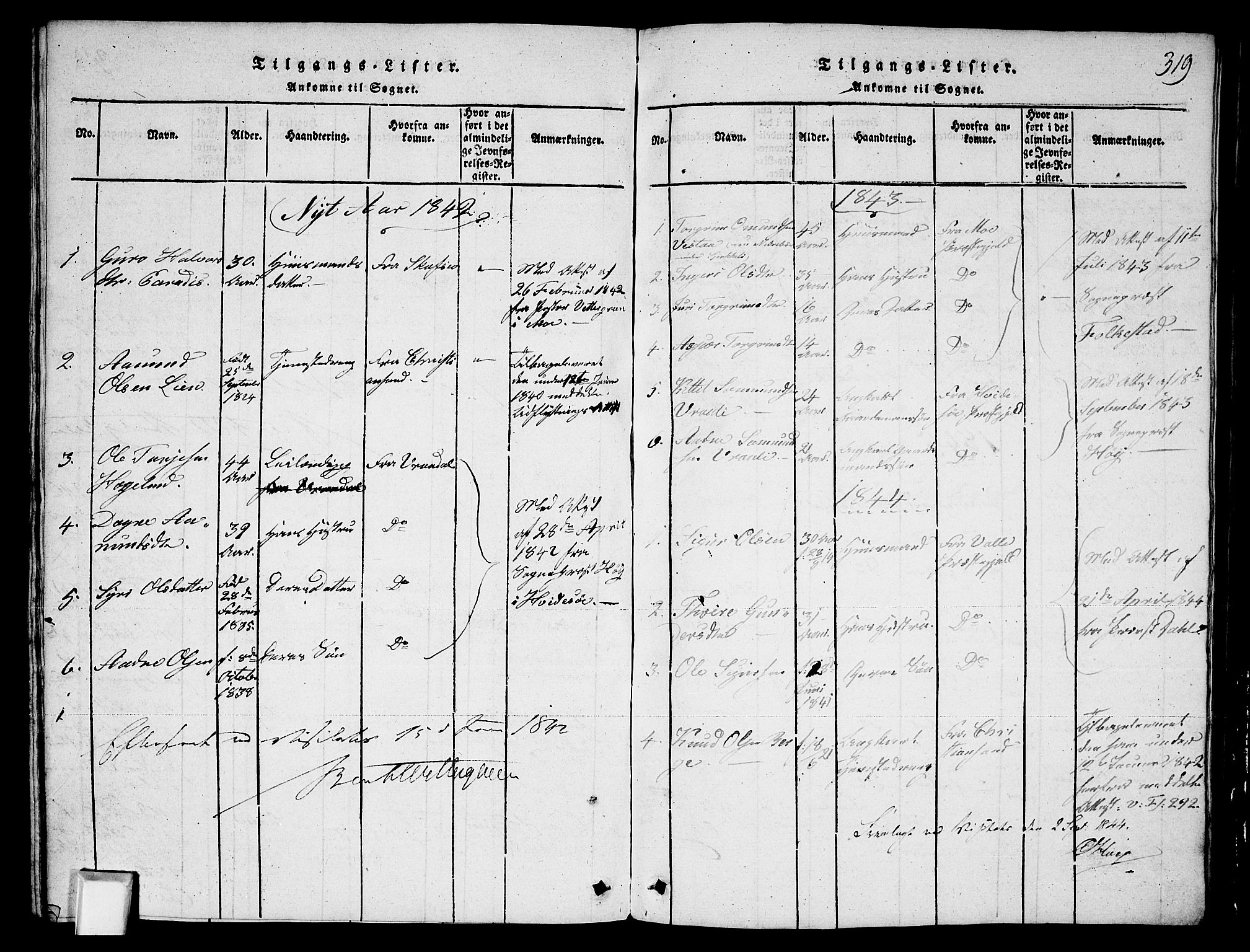 Fyresdal kirkebøker, SAKO/A-263/G/Ga/L0003: Parish register (copy) no. I 3, 1815-1863, p. 319