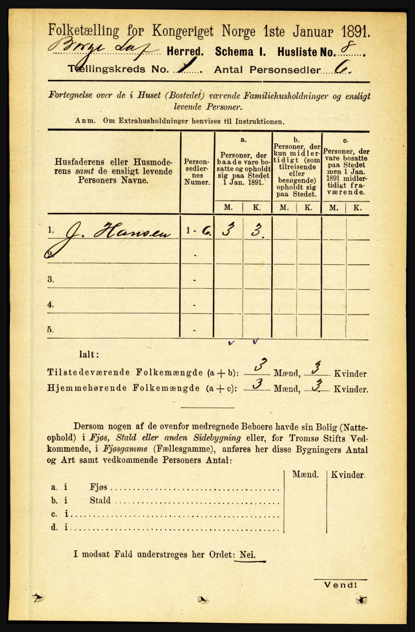 RA, 1891 census for 1862 Borge, 1891, p. 33