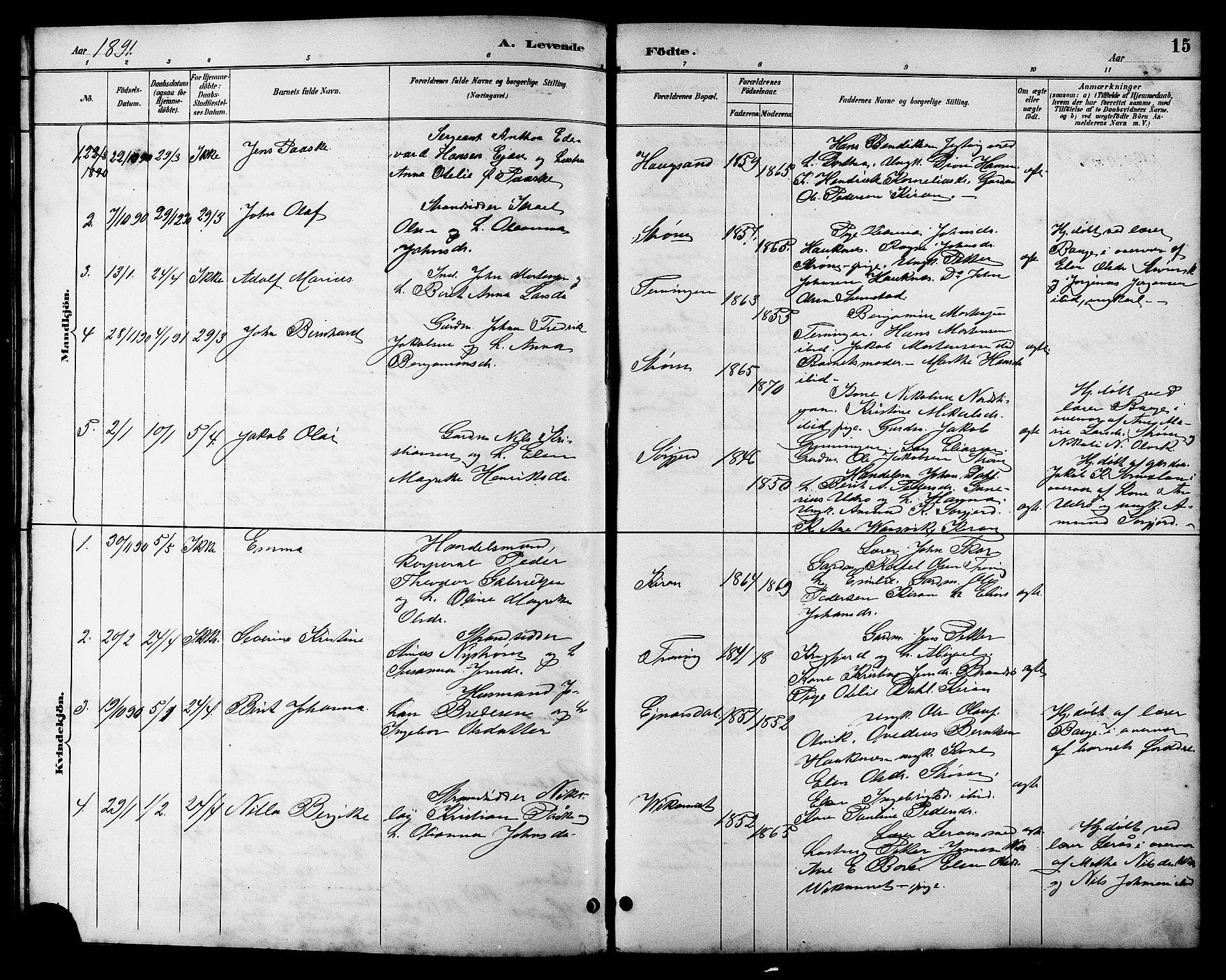 Ministerialprotokoller, klokkerbøker og fødselsregistre - Sør-Trøndelag, SAT/A-1456/657/L0716: Parish register (copy) no. 657C03, 1889-1904, p. 15