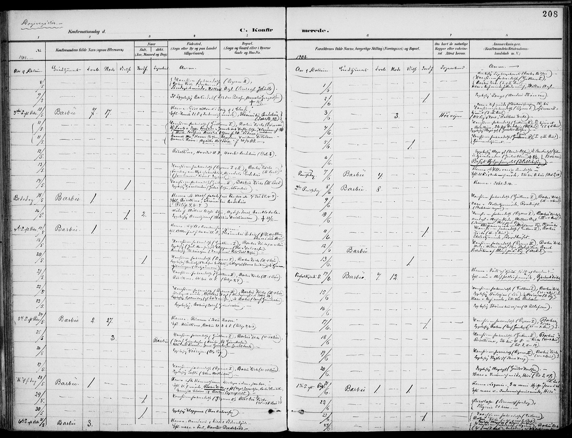 Barbu sokneprestkontor, AV/SAK-1111-0003/F/Fa/L0005: Parish register (official) no. A 5, 1899-1909, p. 208