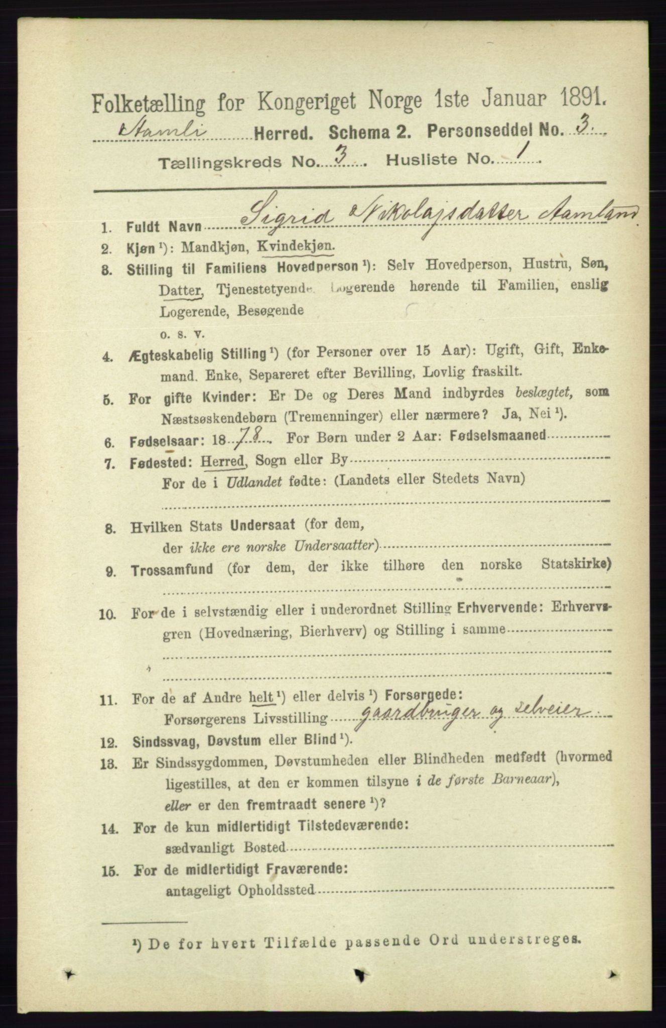 RA, 1891 census for 0929 Åmli, 1891, p. 318