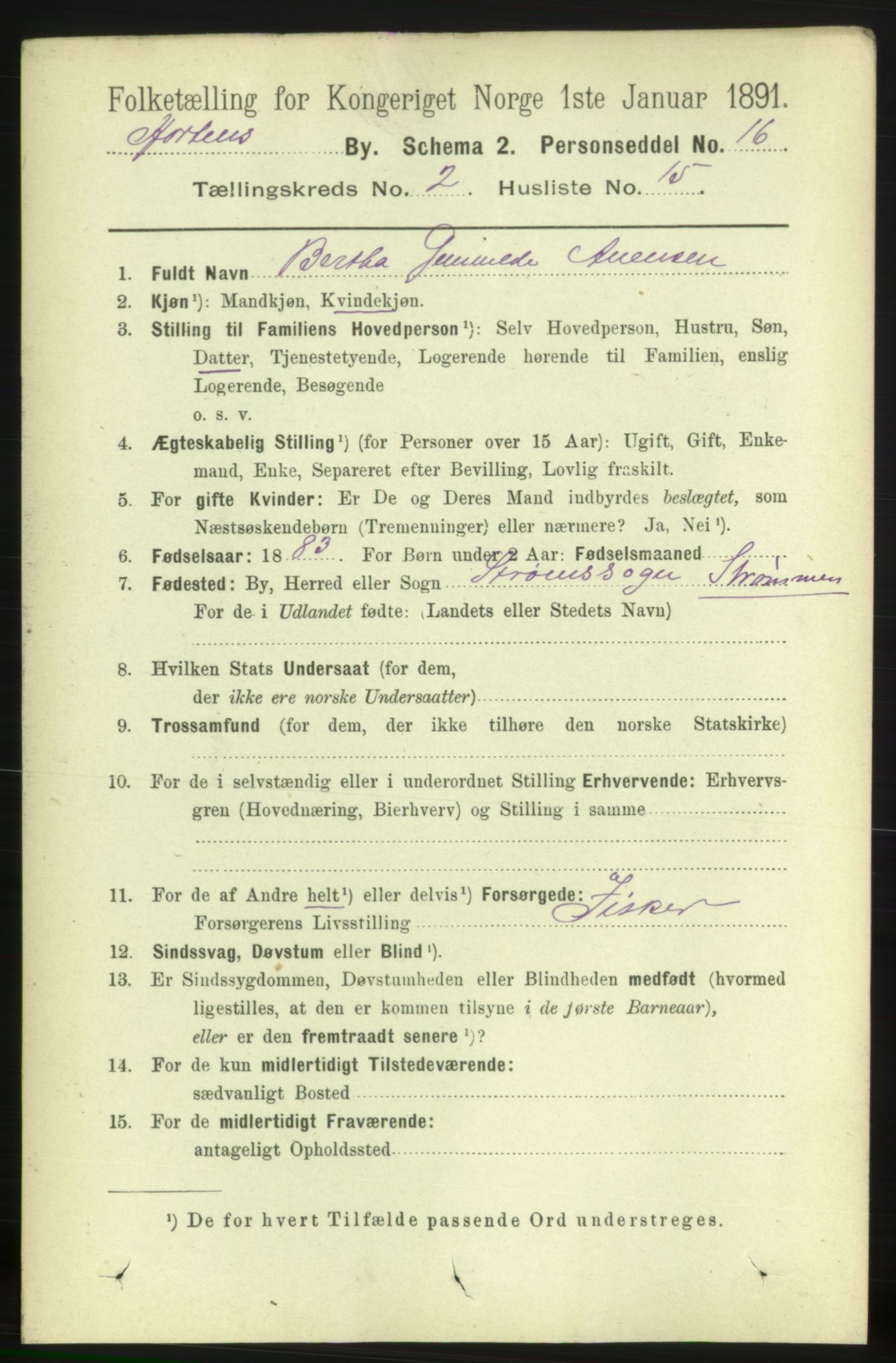 RA, 1891 census for 0703 Horten, 1891, p. 2193