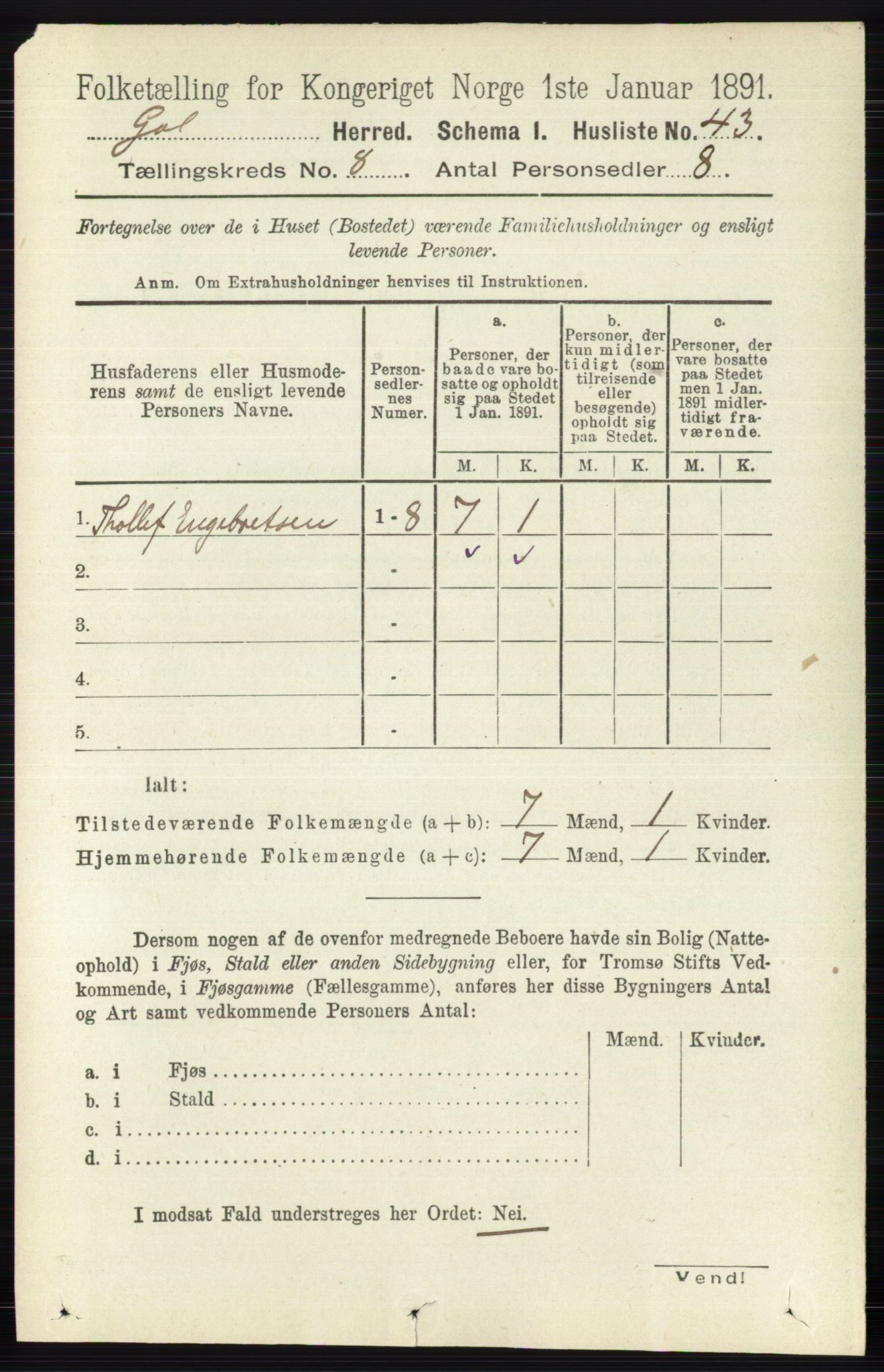 RA, 1891 census for 0617 Gol og Hemsedal, 1891, p. 3024