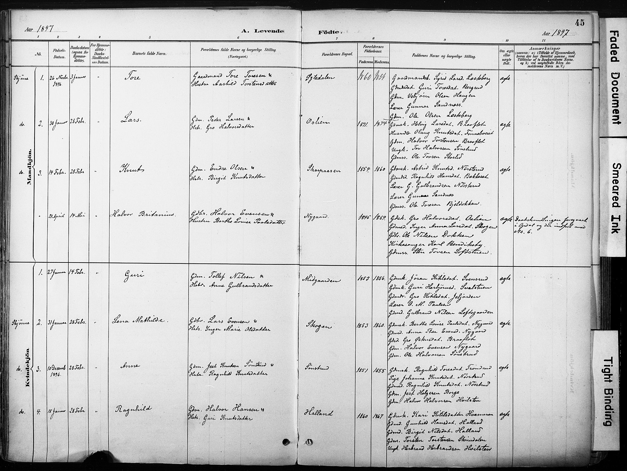 Nore kirkebøker, SAKO/A-238/F/Fb/L0002: Parish register (official) no. II 2, 1886-1906, p. 45
