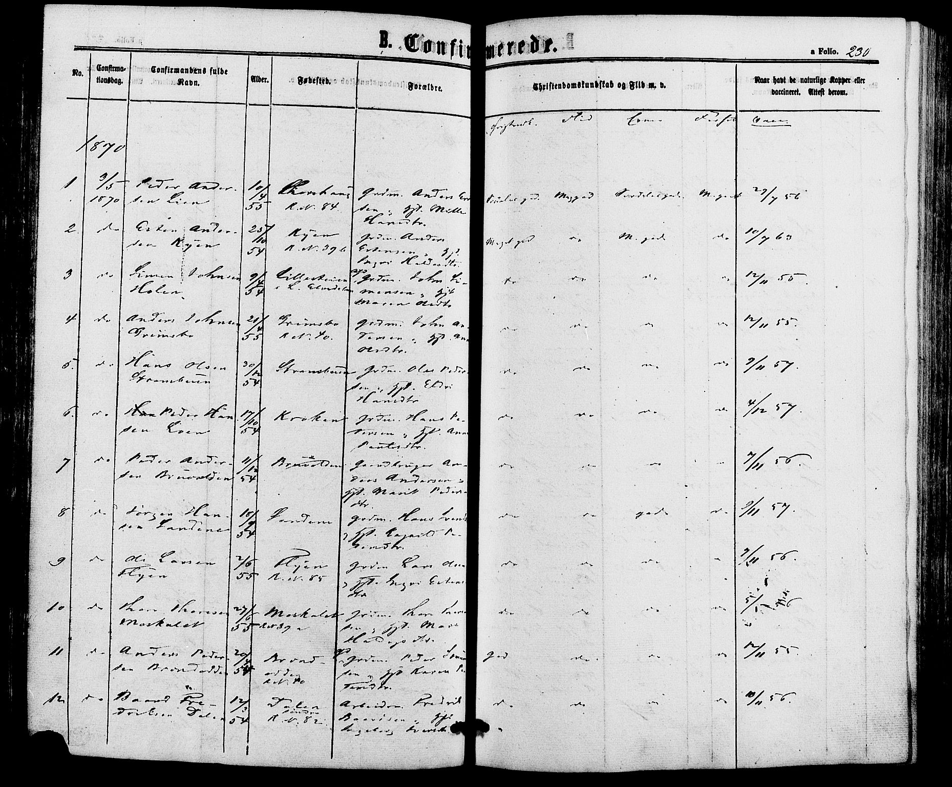 Alvdal prestekontor, AV/SAH-PREST-060/H/Ha/Haa/L0001: Parish register (official) no. 1, 1863-1882, p. 230