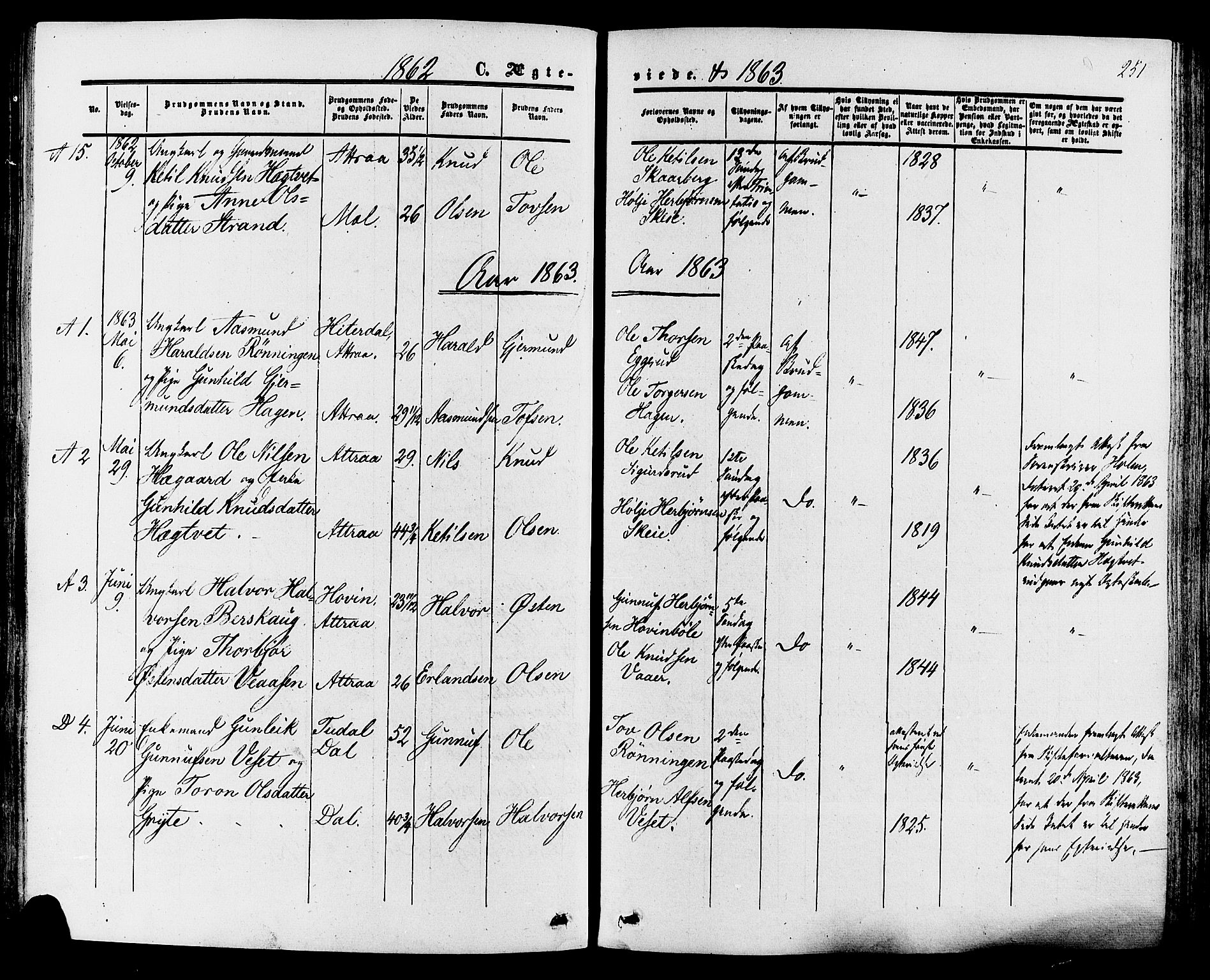 Tinn kirkebøker, SAKO/A-308/F/Fa/L0006: Parish register (official) no. I 6, 1857-1878, p. 251