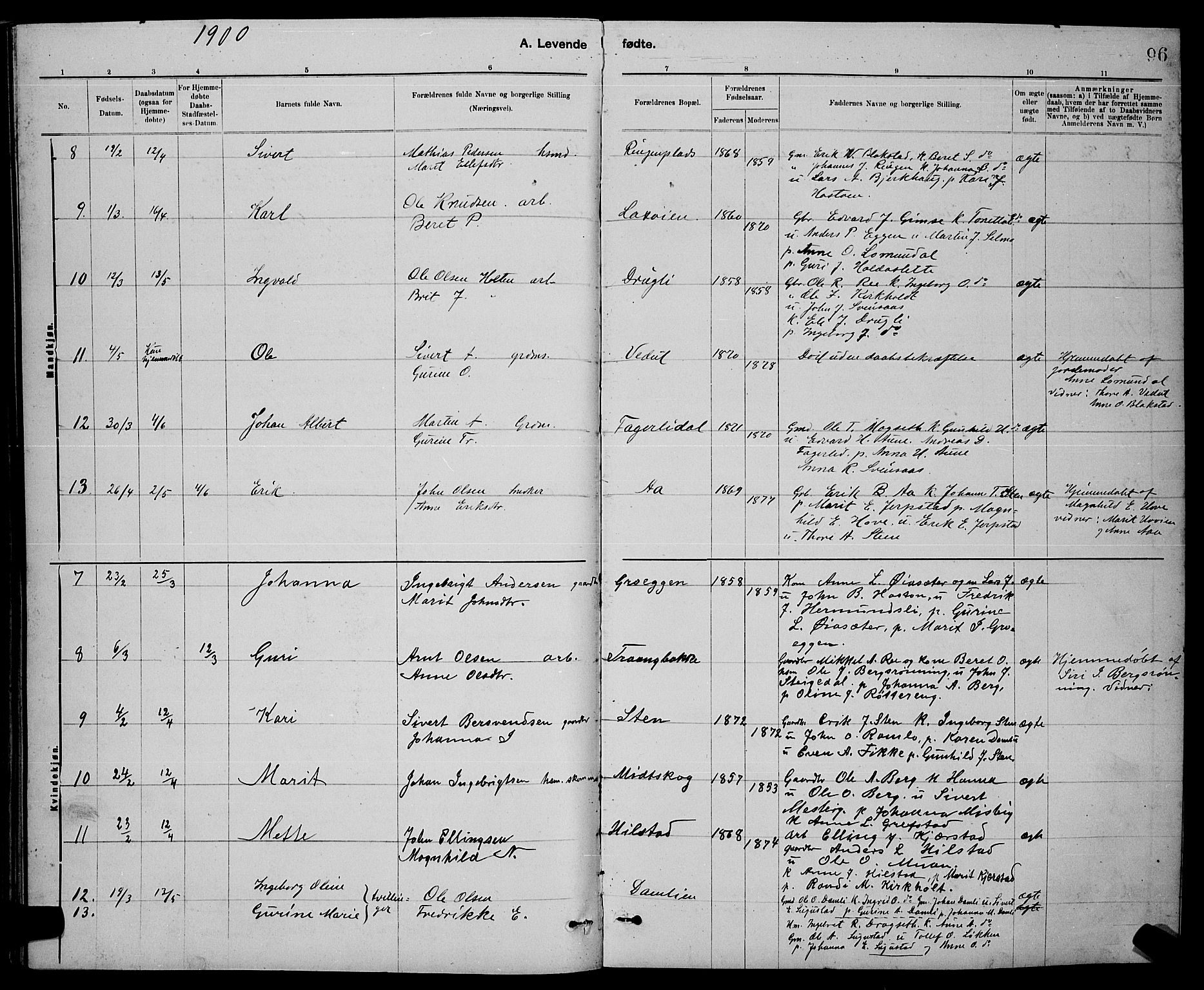 Ministerialprotokoller, klokkerbøker og fødselsregistre - Sør-Trøndelag, SAT/A-1456/672/L0863: Parish register (copy) no. 672C02, 1888-1901, p. 96