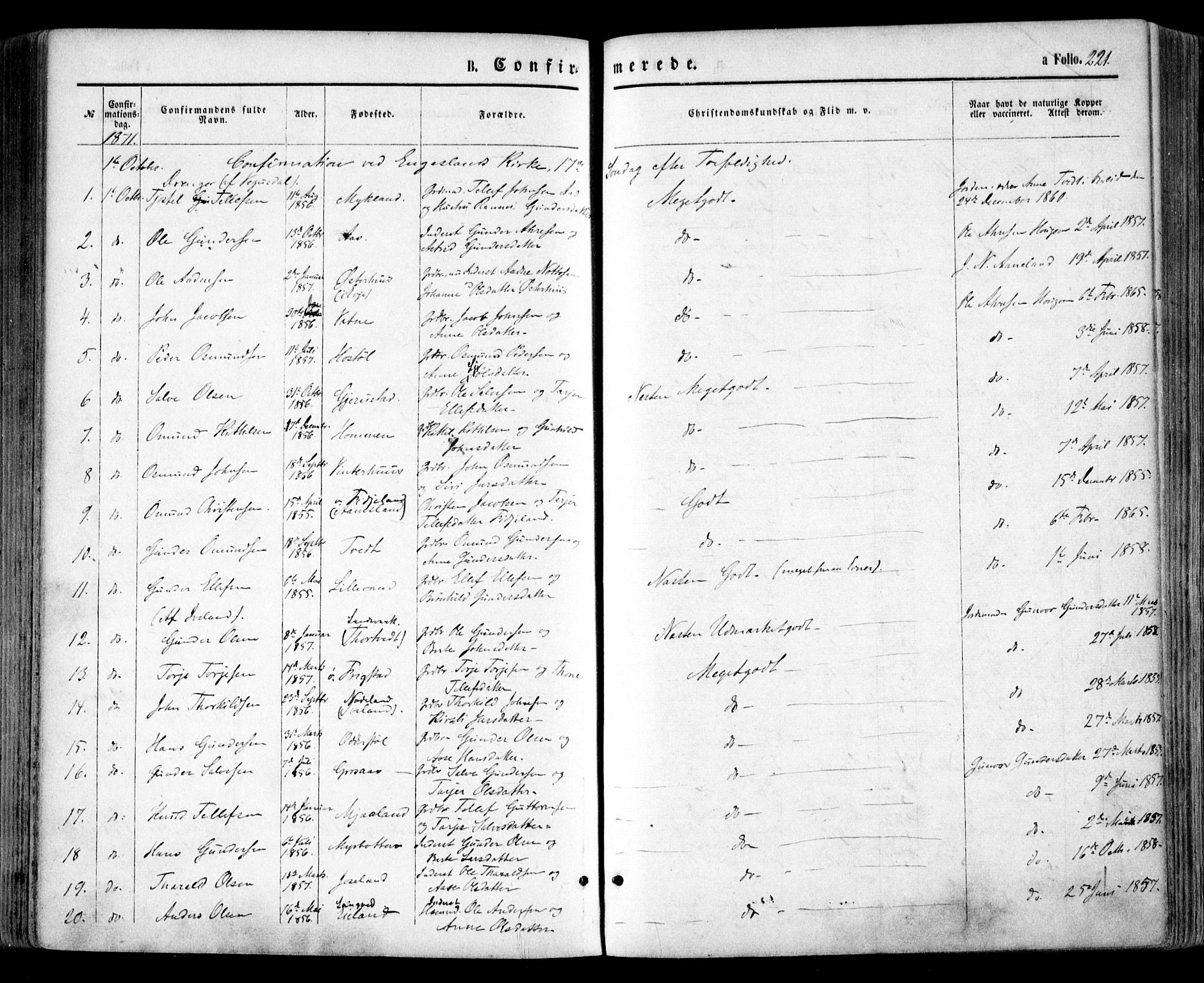 Evje sokneprestkontor, SAK/1111-0008/F/Fa/Faa/L0006: Parish register (official) no. A 6, 1866-1884, p. 221