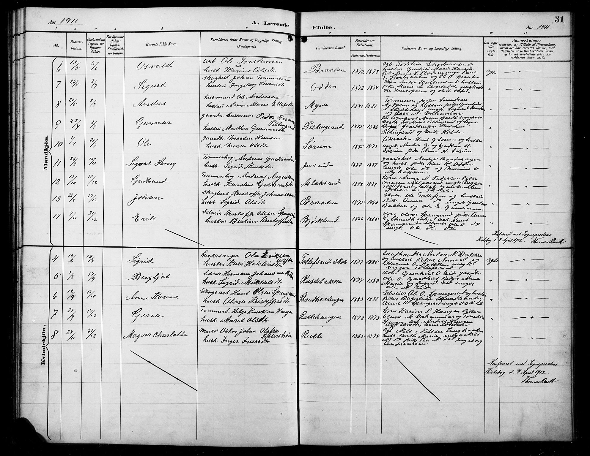 Sør-Aurdal prestekontor, AV/SAH-PREST-128/H/Ha/Hab/L0008: Parish register (copy) no. 8, 1894-1921, p. 31