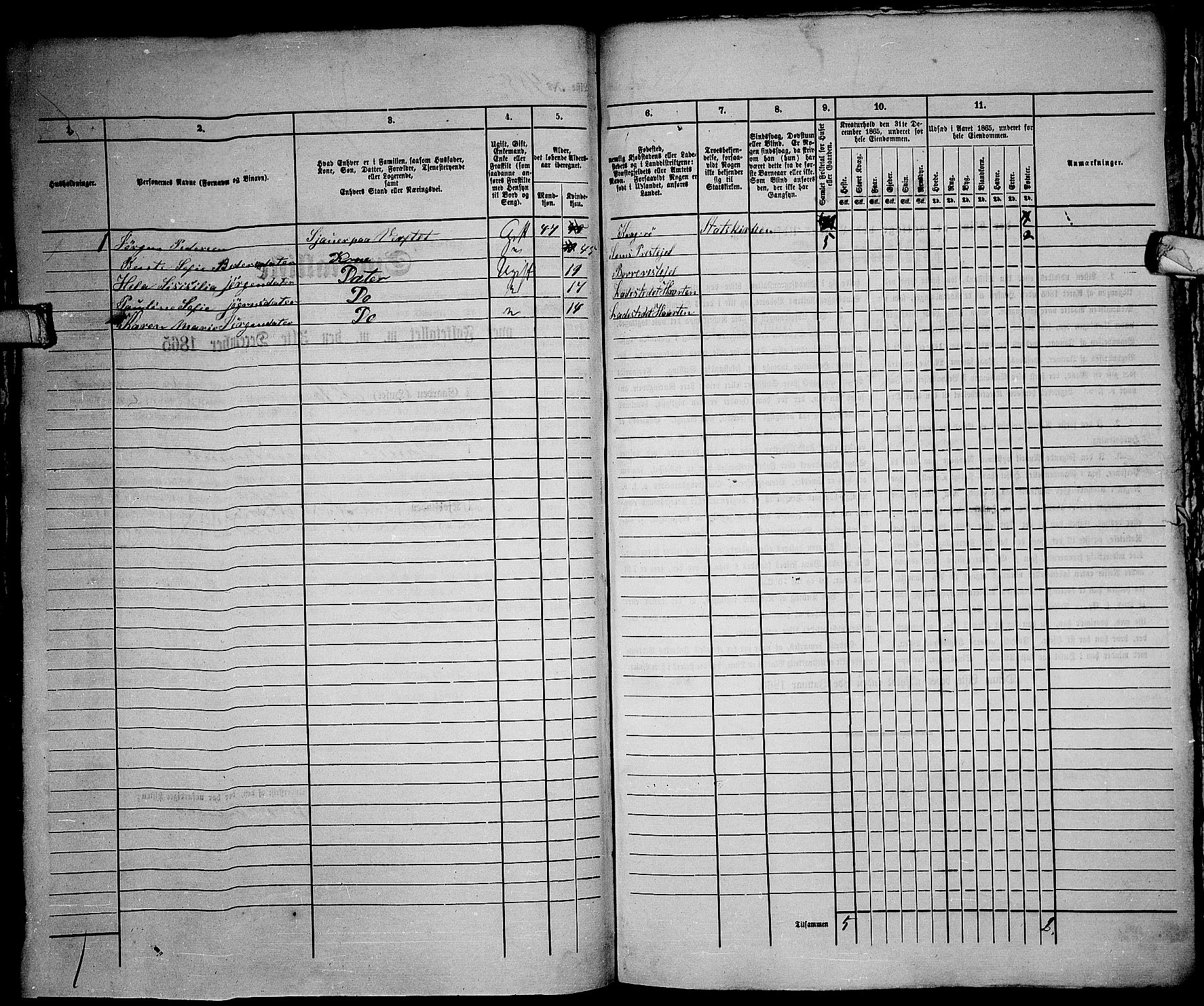 RA, 1865 census for Horten, 1865, p. 1020