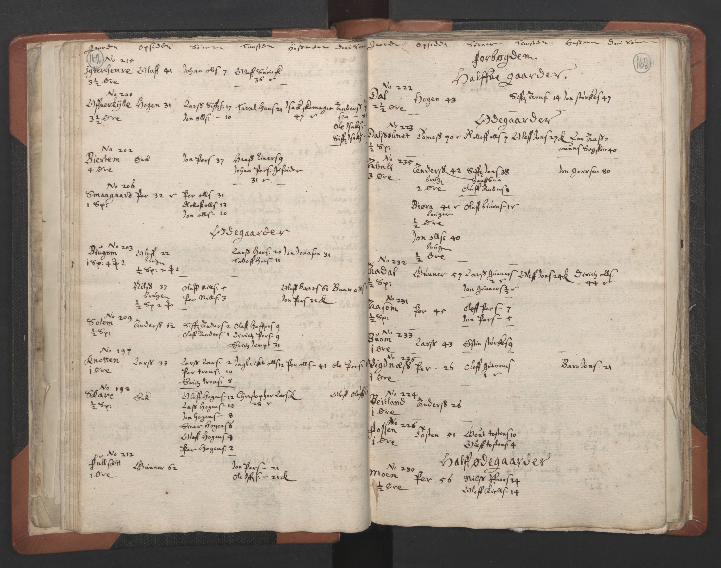 RA, Vicar's Census 1664-1666, no. 32: Innherad deanery, 1664-1666, p. 162-163