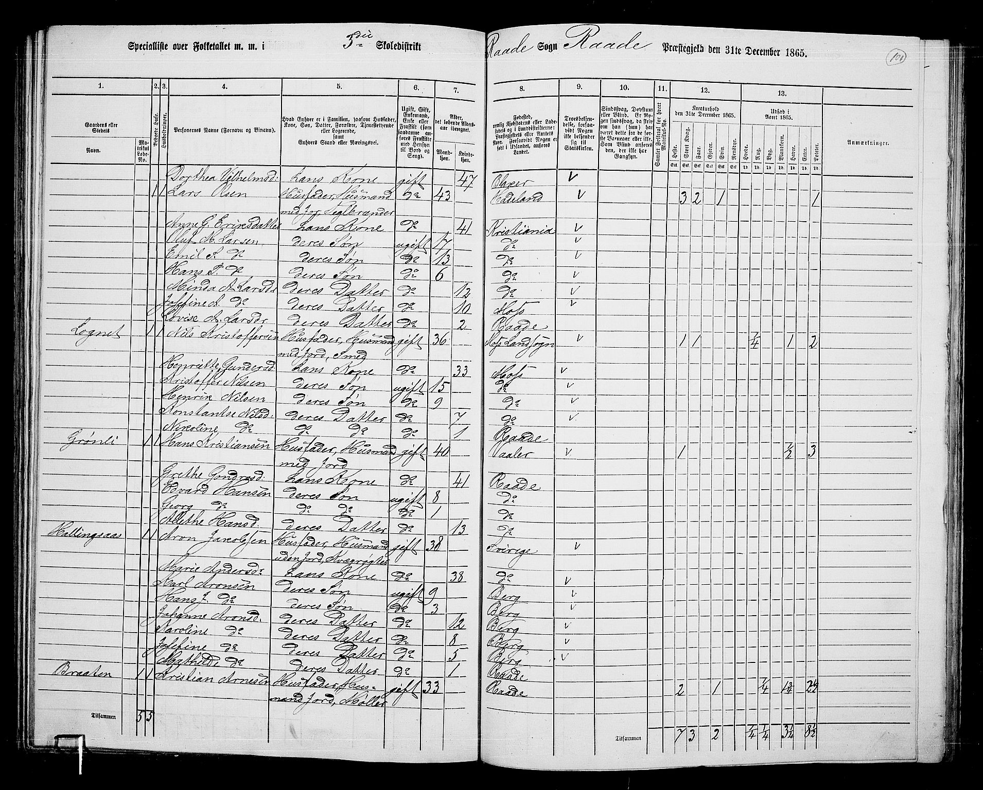 RA, 1865 census for Råde, 1865, p. 93