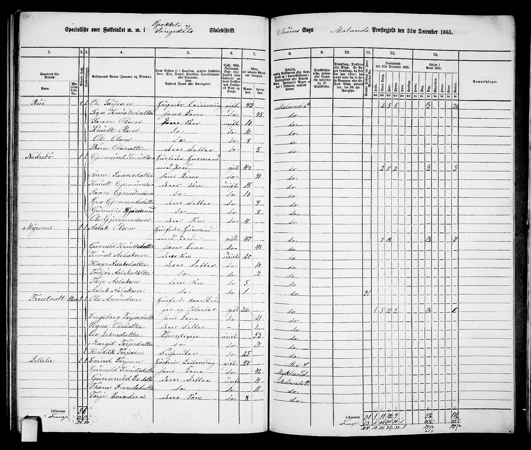 RA, 1865 census for Moland, 1865, p. 82