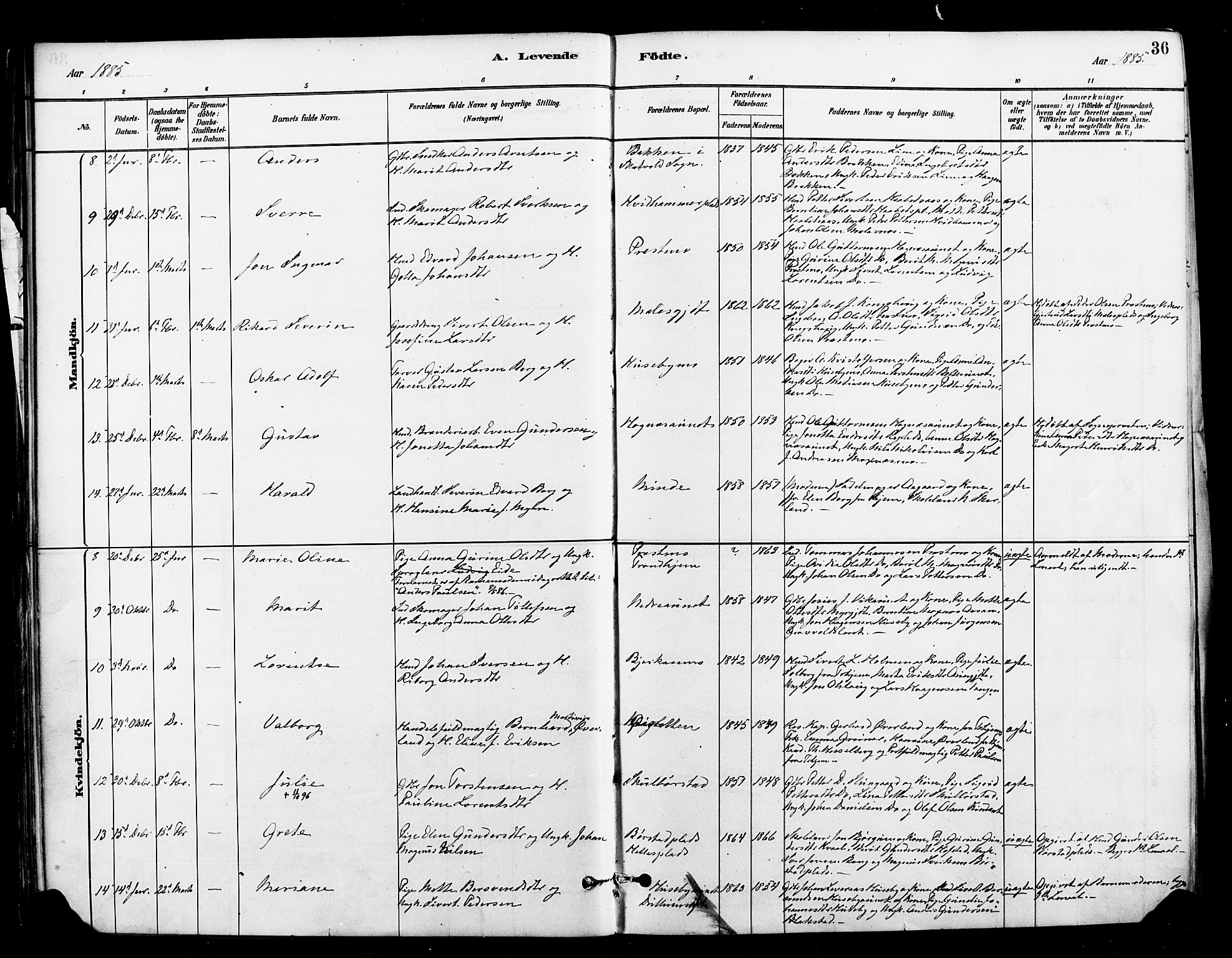 Ministerialprotokoller, klokkerbøker og fødselsregistre - Nord-Trøndelag, SAT/A-1458/709/L0077: Parish register (official) no. 709A17, 1880-1895, p. 36