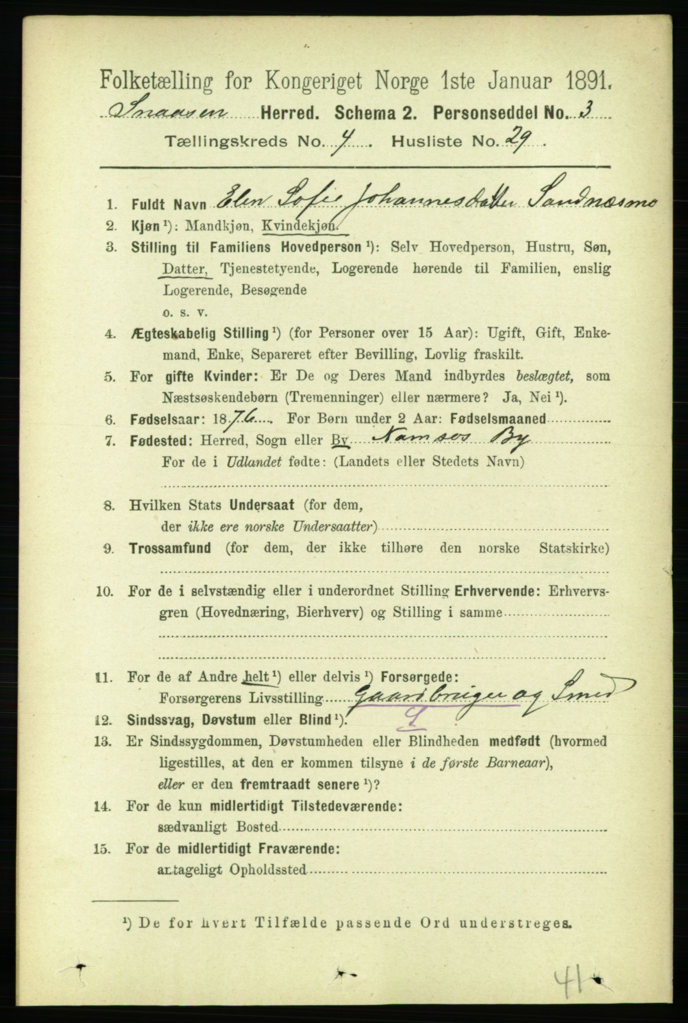 RA, 1891 census for 1736 Snåsa, 1891, p. 1265