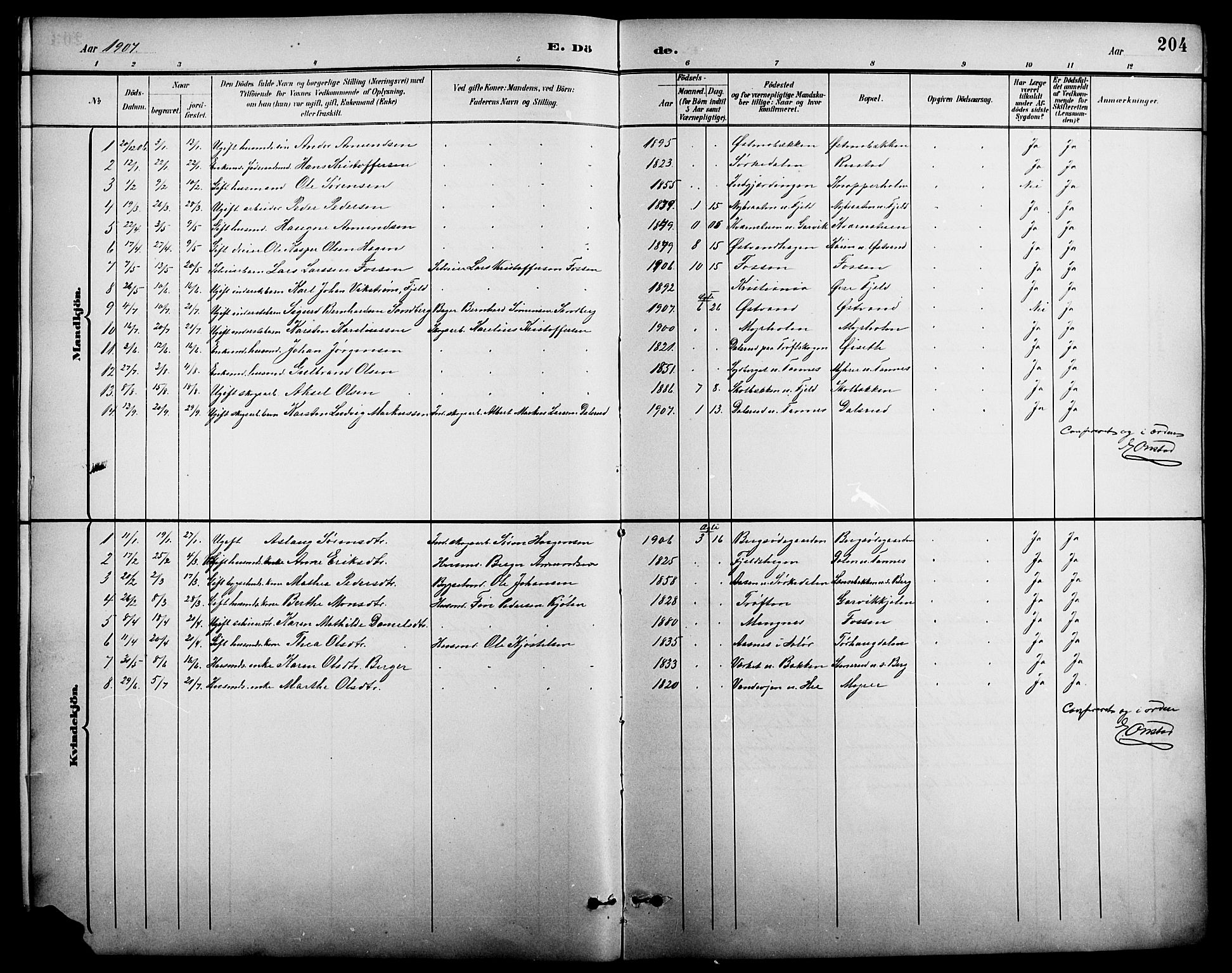 Nord-Odal prestekontor, AV/SAH-PREST-032/H/Ha/Hab/L0002: Parish register (copy) no. 2, 1895-1921, p. 204