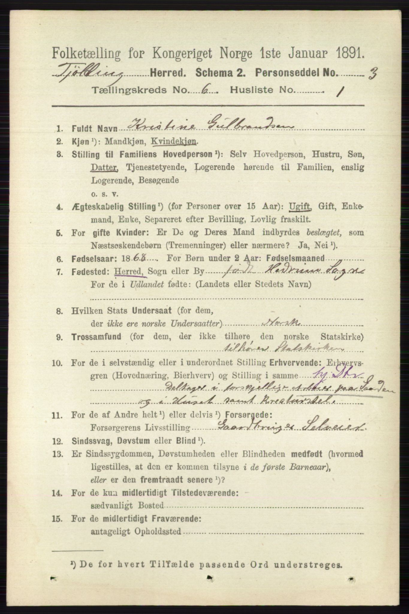 RA, 1891 census for 0725 Tjølling, 1891, p. 2903