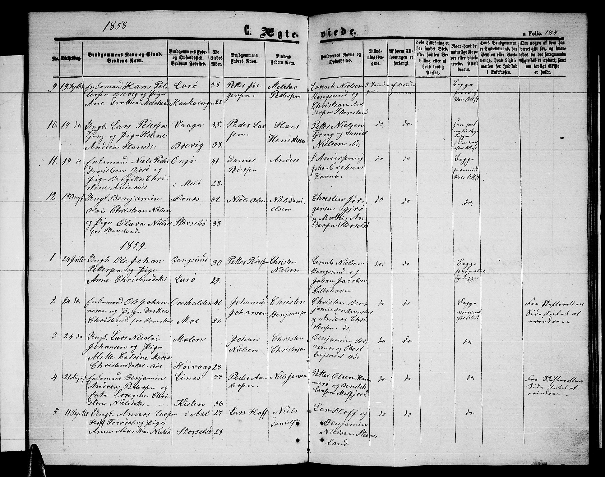 Ministerialprotokoller, klokkerbøker og fødselsregistre - Nordland, AV/SAT-A-1459/841/L0619: Parish register (copy) no. 841C03, 1856-1876, p. 184