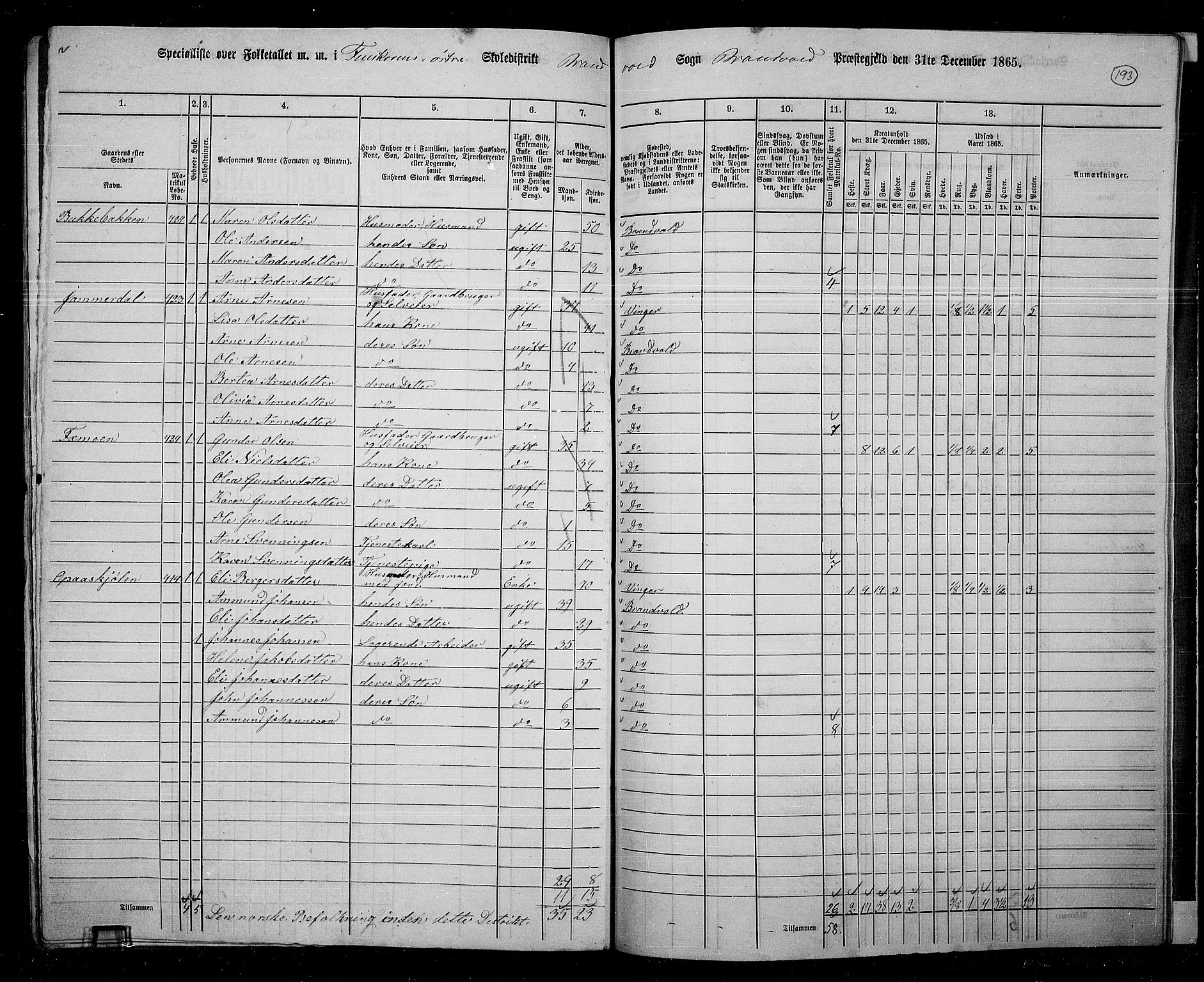 RA, 1865 census for Brandval, 1865, p. 161