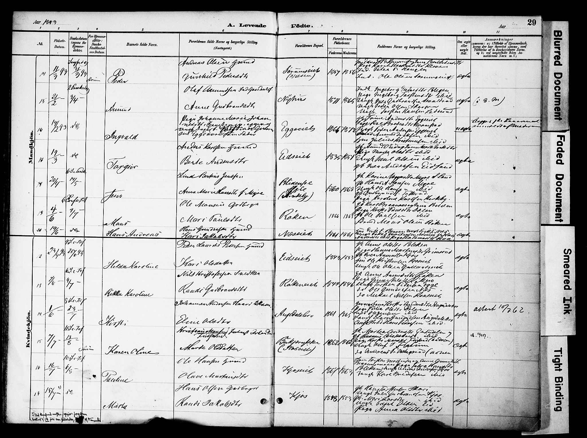 Gran prestekontor, AV/SAH-PREST-112/H/Ha/Haa/L0020: Parish register (official) no. 20, 1889-1899, p. 29