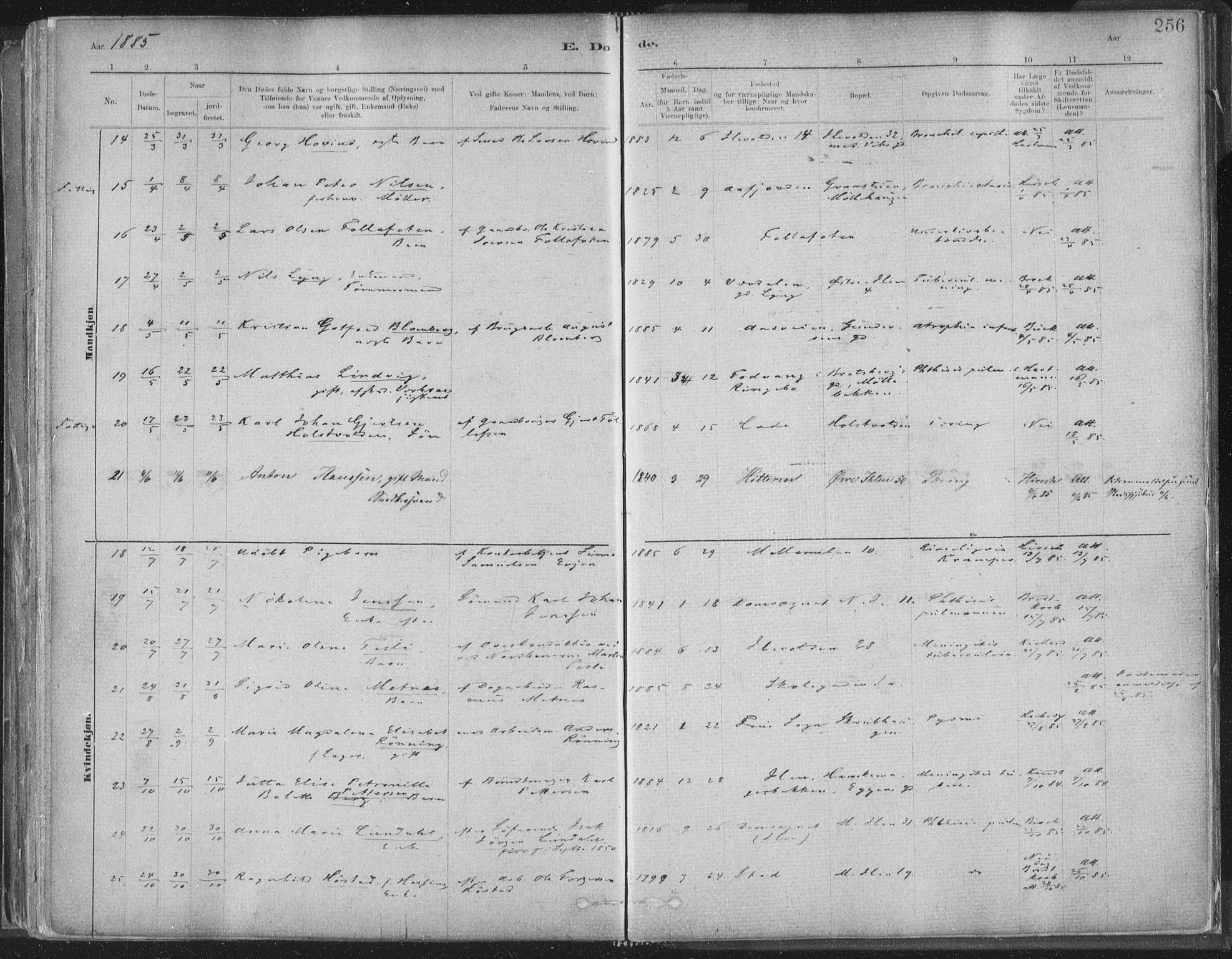 Ministerialprotokoller, klokkerbøker og fødselsregistre - Sør-Trøndelag, AV/SAT-A-1456/603/L0162: Parish register (official) no. 603A01, 1879-1895, p. 256