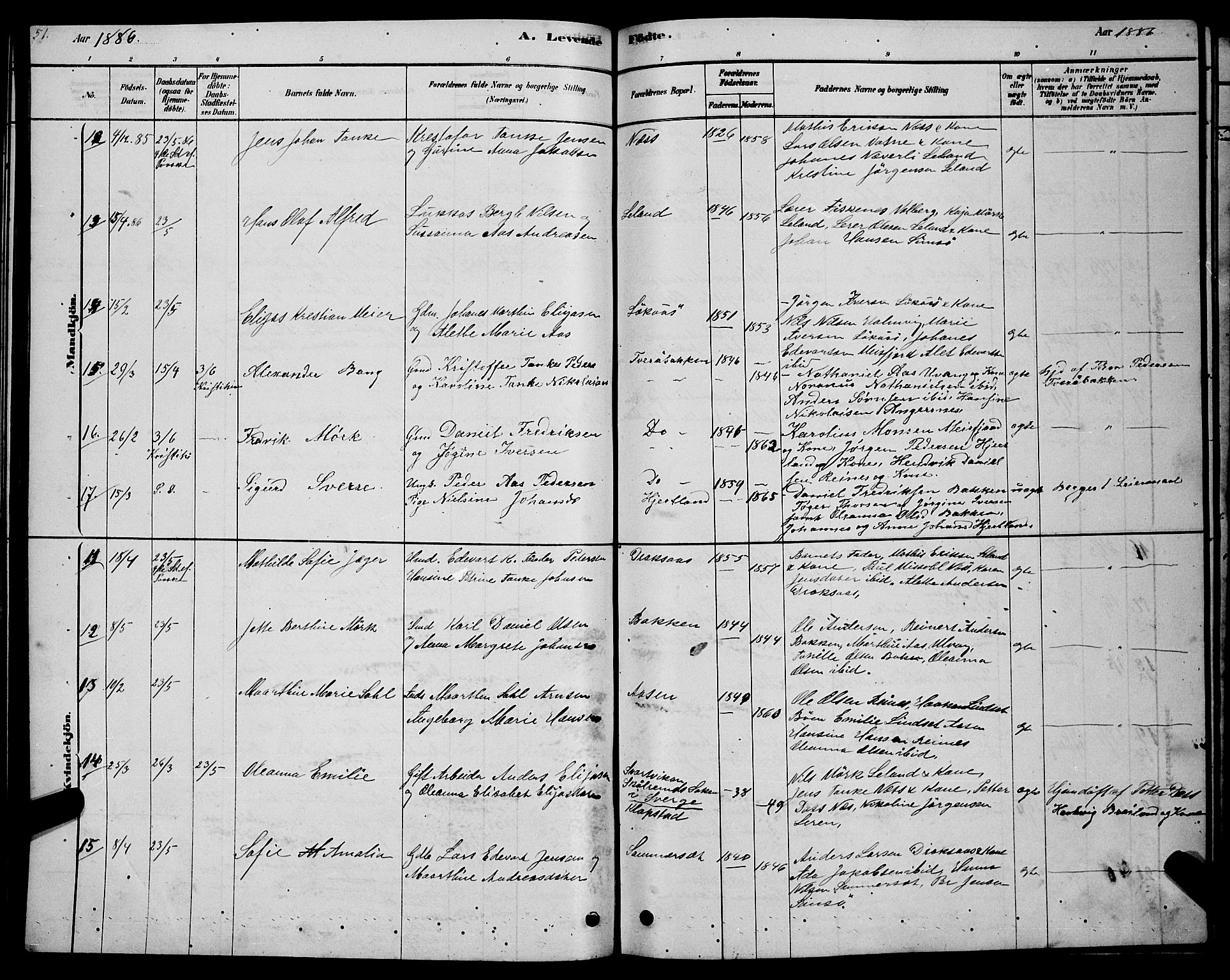 Ministerialprotokoller, klokkerbøker og fødselsregistre - Nordland, AV/SAT-A-1459/831/L0477: Parish register (copy) no. 831C04, 1878-1897, p. 51