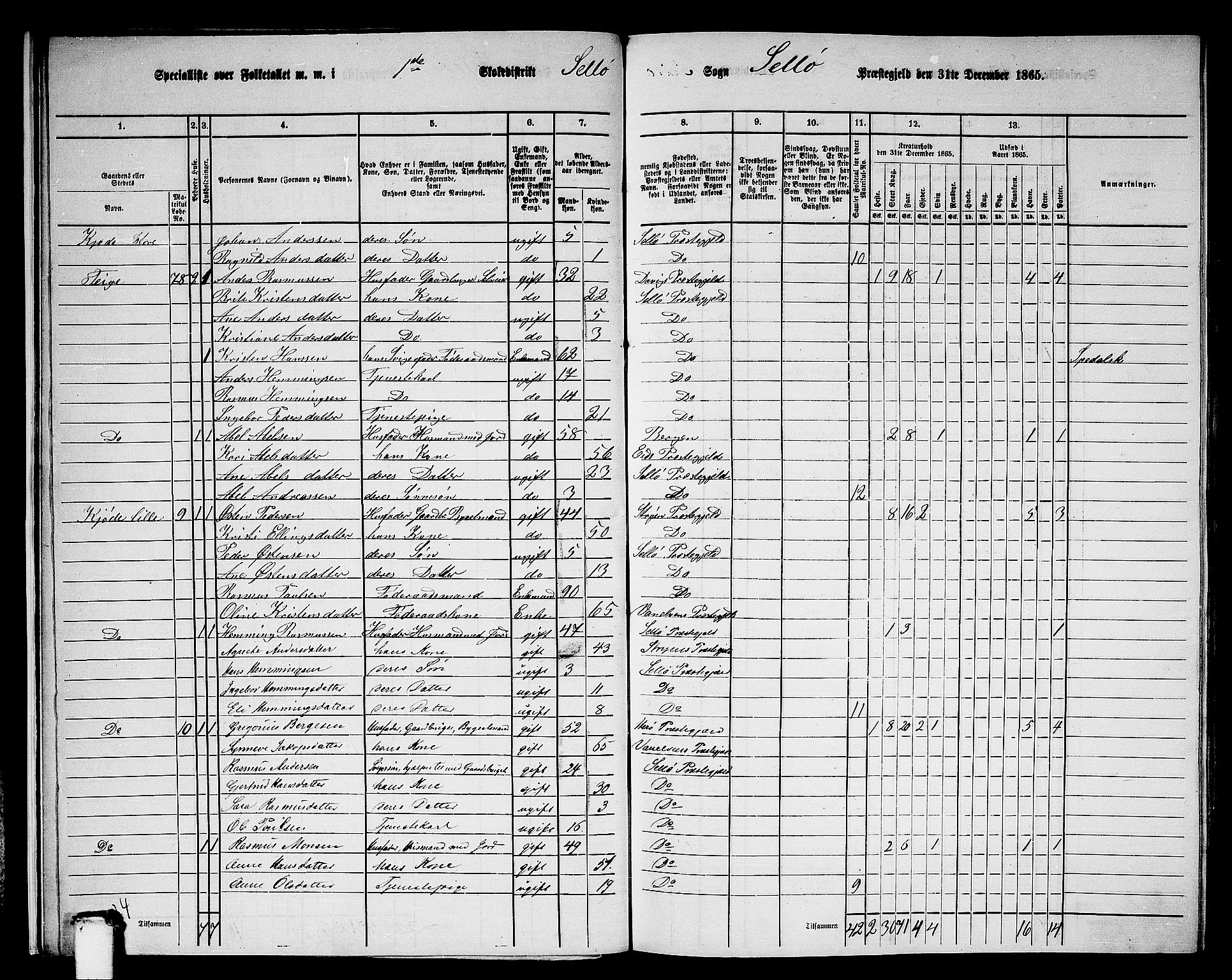 RA, 1865 census for Selje, 1865, p. 17