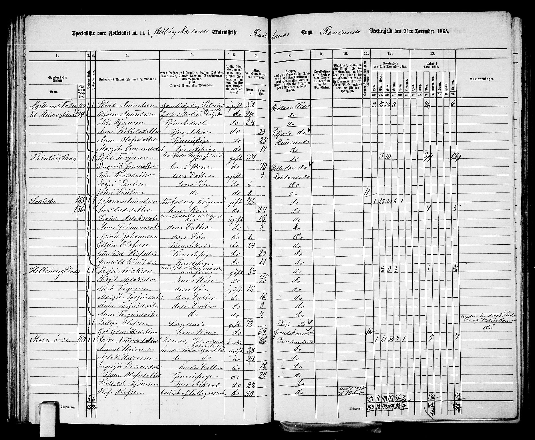 RA, 1865 census for Rauland, 1865, p. 47