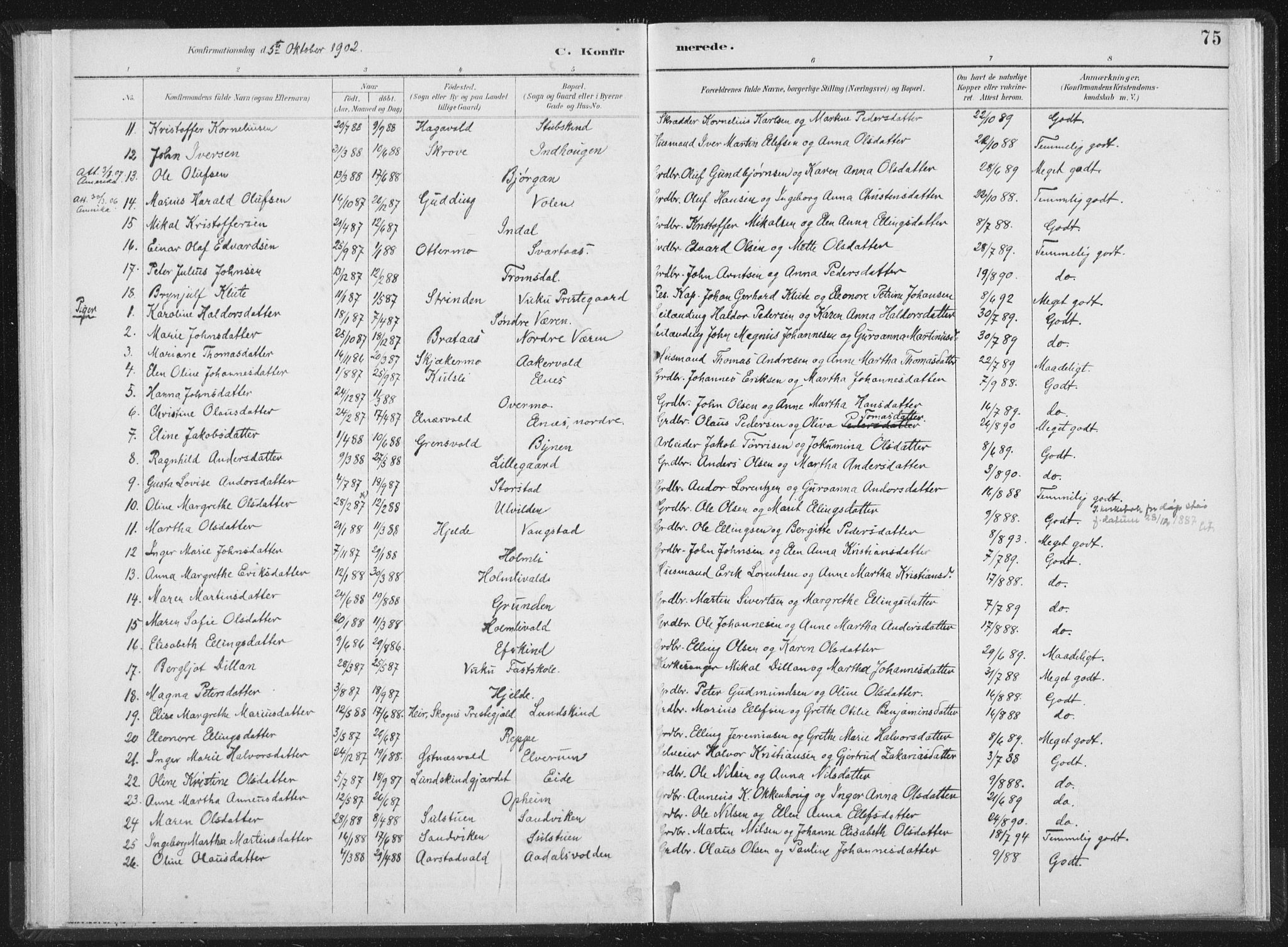 Ministerialprotokoller, klokkerbøker og fødselsregistre - Nord-Trøndelag, AV/SAT-A-1458/724/L0263: Parish register (official) no. 724A01, 1891-1907, p. 75