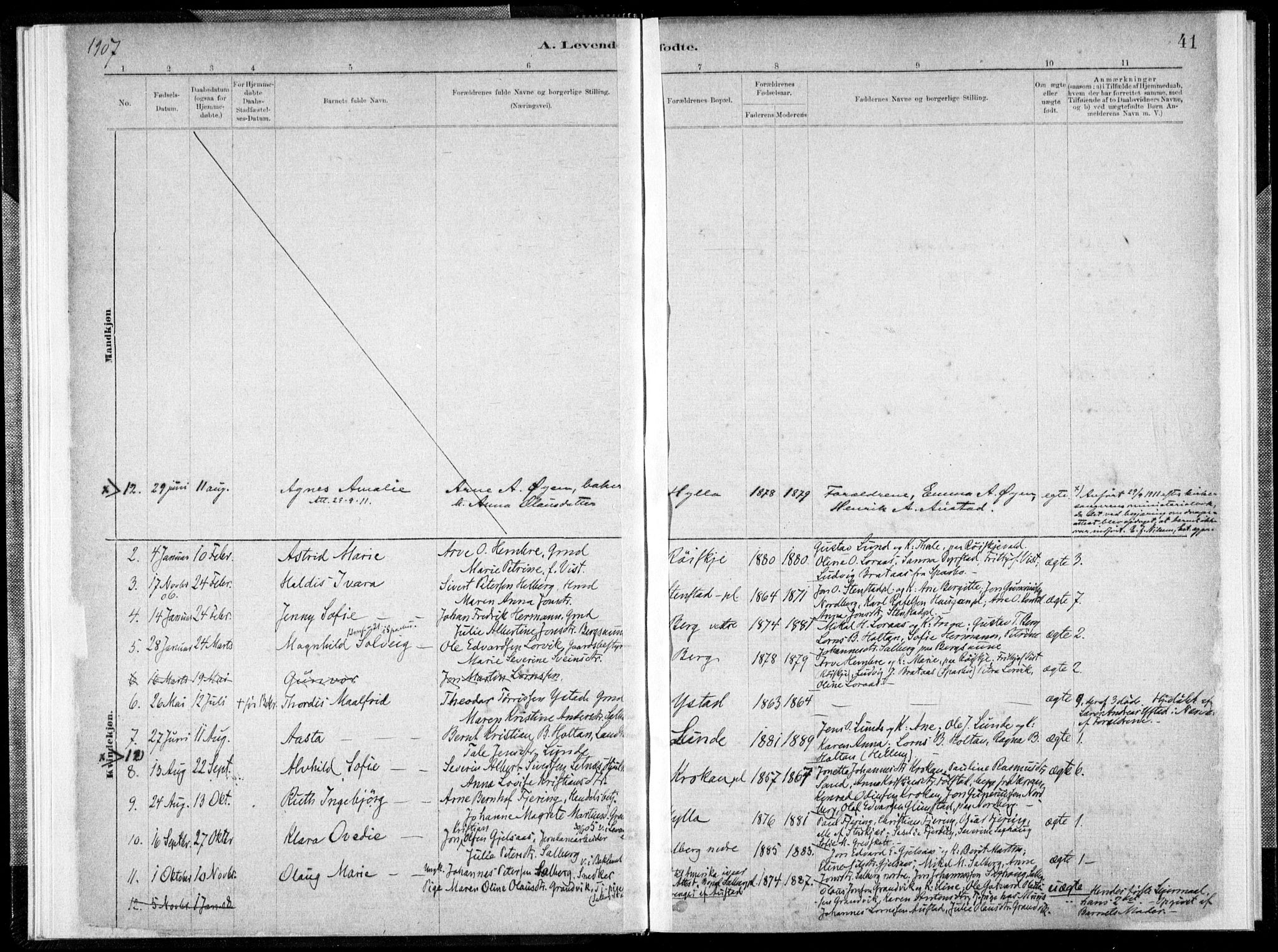 Ministerialprotokoller, klokkerbøker og fødselsregistre - Nord-Trøndelag, AV/SAT-A-1458/731/L0309: Parish register (official) no. 731A01, 1879-1918, p. 41