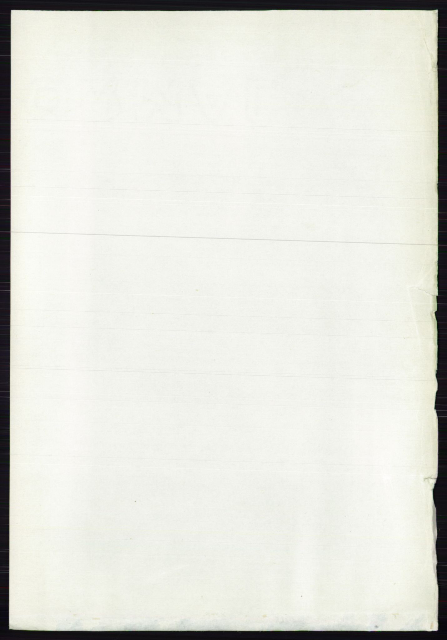 RA, 1891 census for 0111 Hvaler, 1891, p. 3993