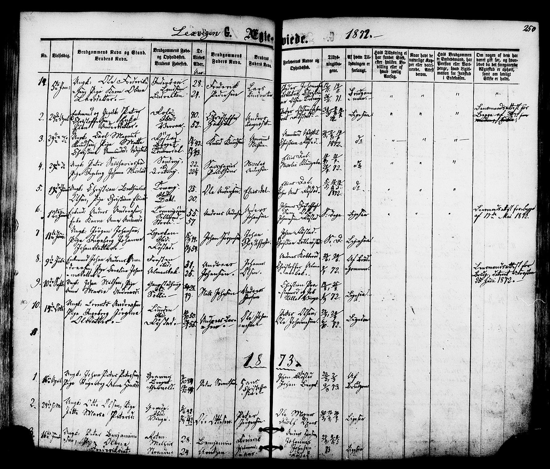 Ministerialprotokoller, klokkerbøker og fødselsregistre - Nord-Trøndelag, AV/SAT-A-1458/701/L0009: Parish register (official) no. 701A09 /1, 1864-1882, p. 250