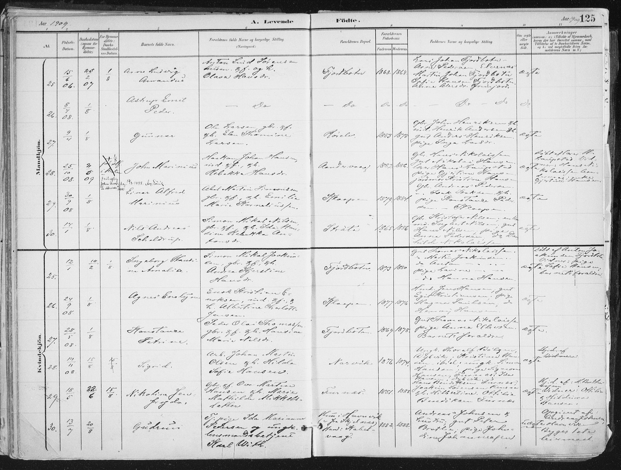 Ibestad sokneprestembete, AV/SATØ-S-0077/H/Ha/Haa/L0017kirke: Parish register (official) no. 17, 1901-1914, p. 125