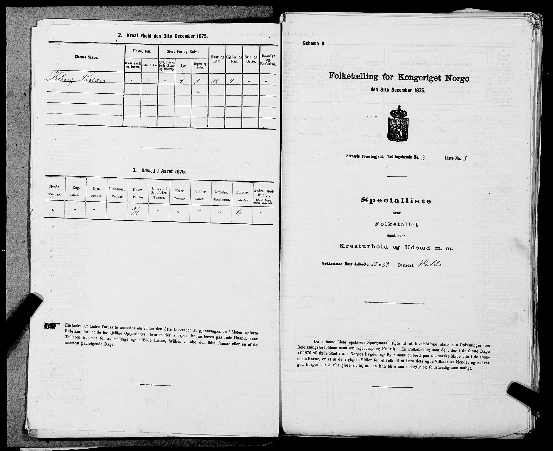 SAST, 1875 census for 1130P Strand, 1875, p. 251