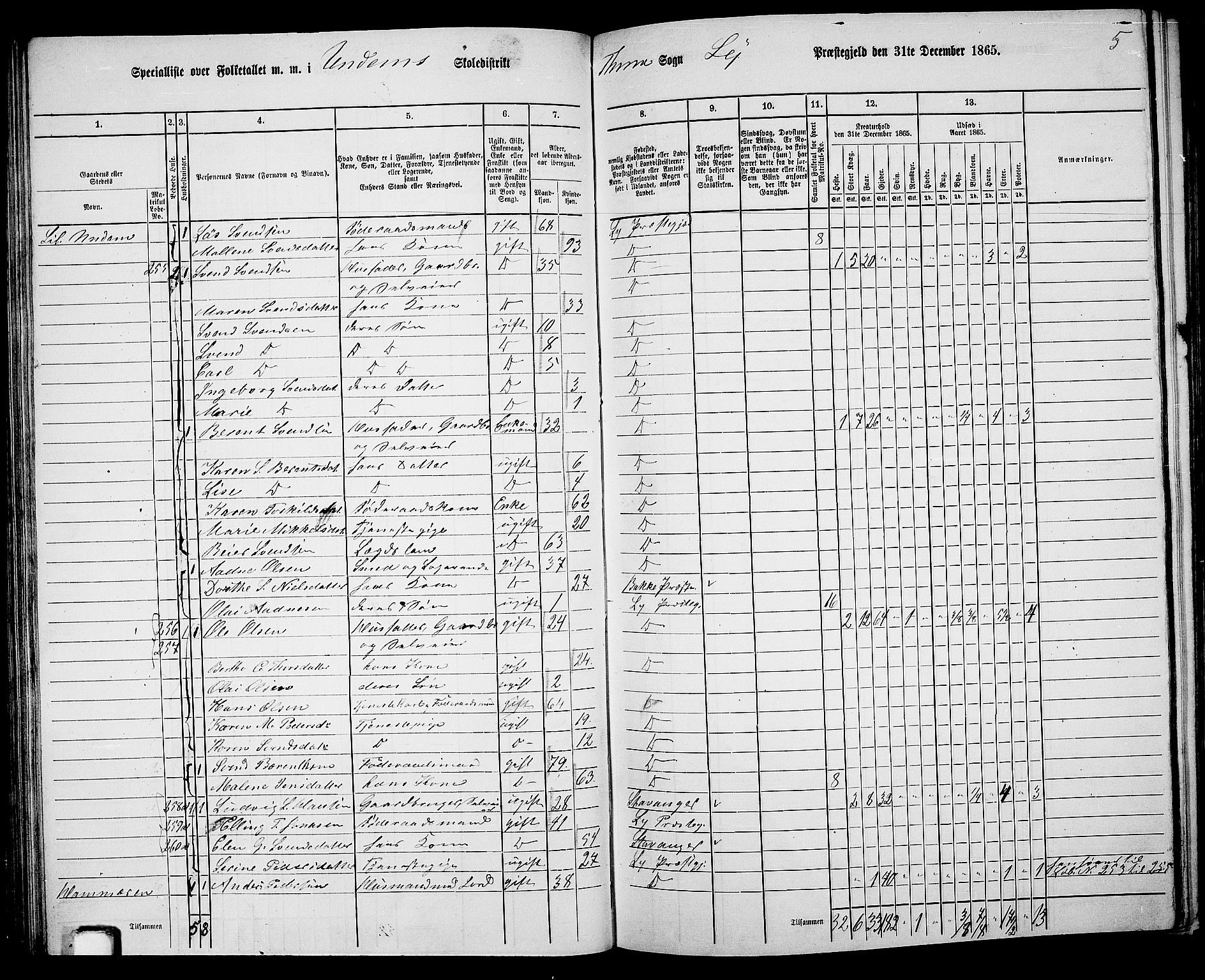 RA, 1865 census for Lye, 1865, p. 69