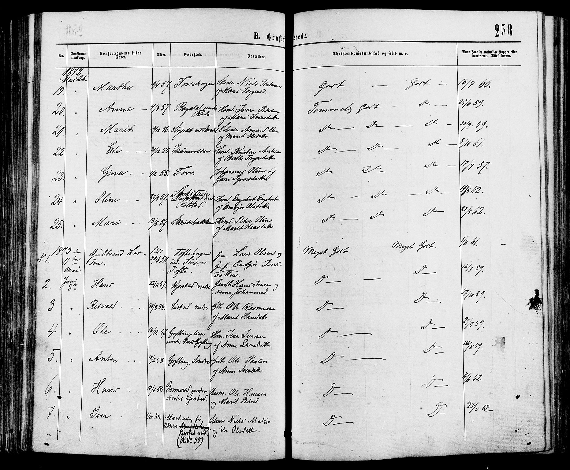 Sør-Fron prestekontor, SAH/PREST-010/H/Ha/Haa/L0002: Parish register (official) no. 2, 1864-1880, p. 258