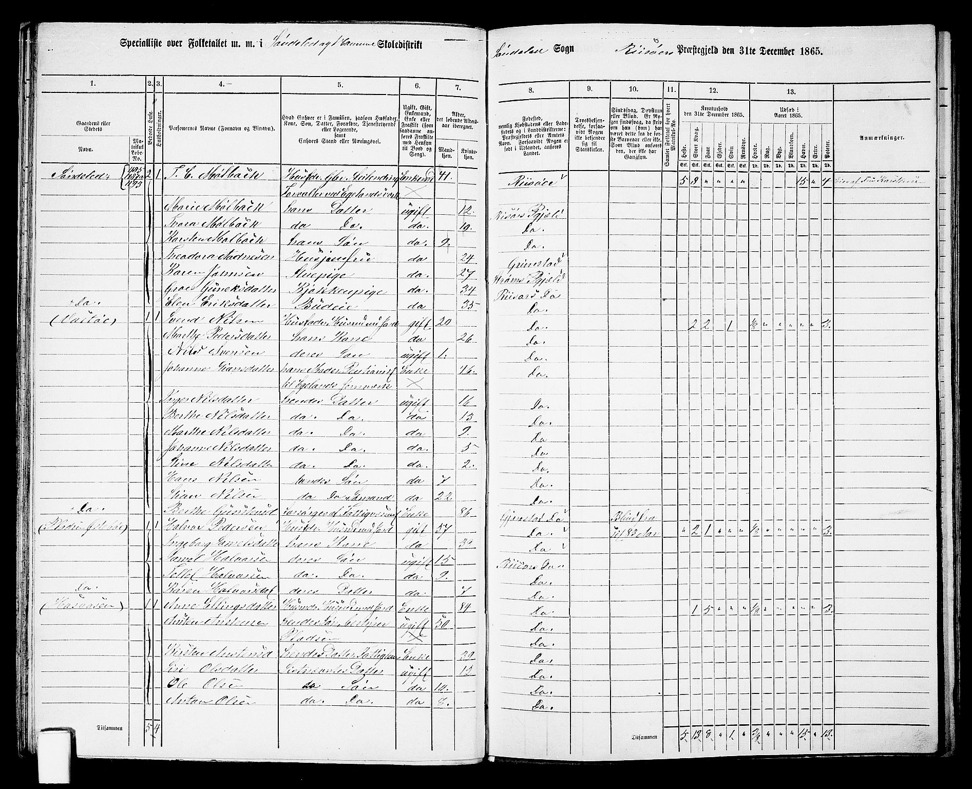 RA, 1865 census for Risør/Søndeled, 1865, p. 49