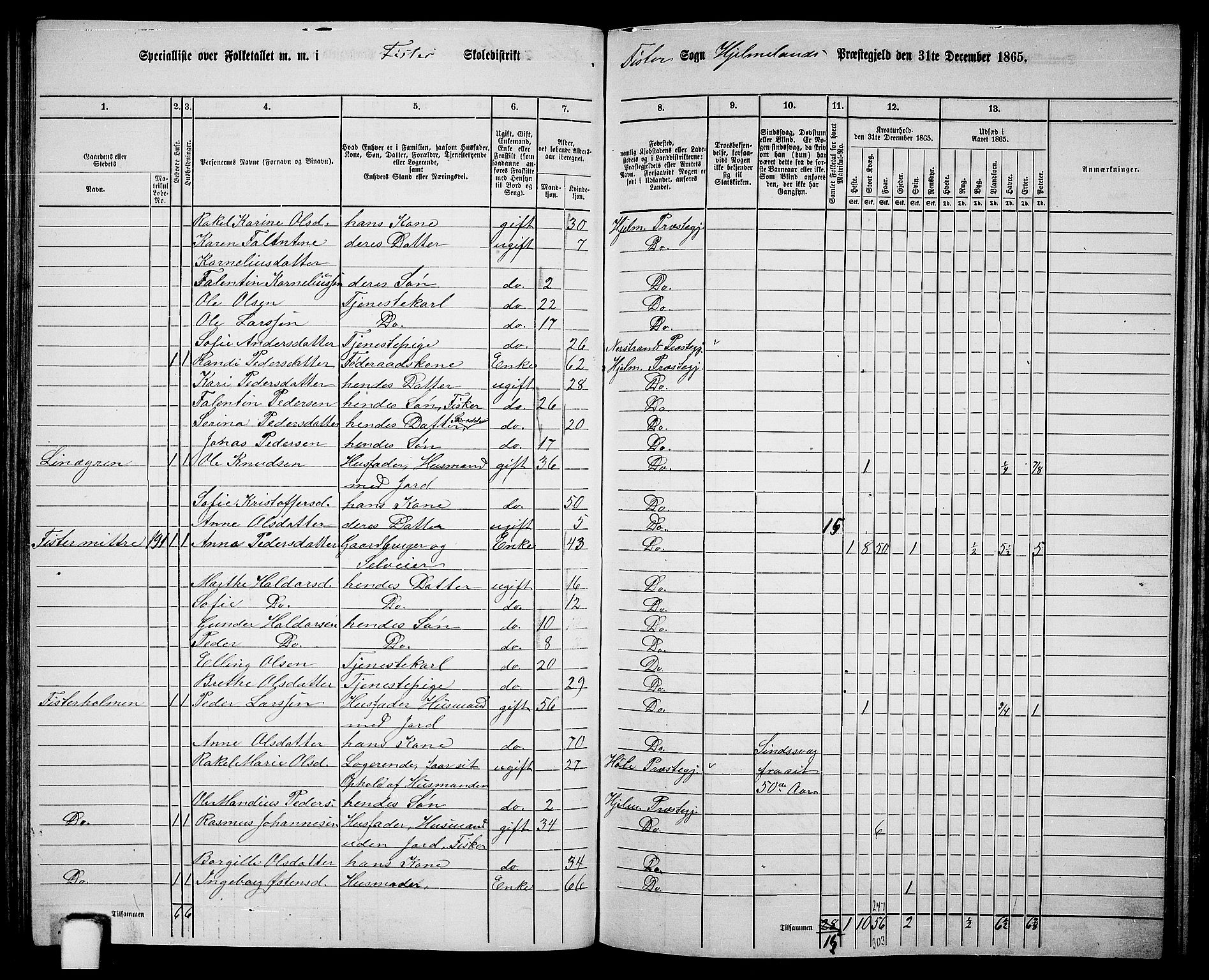 RA, 1865 census for Hjelmeland, 1865, p. 110