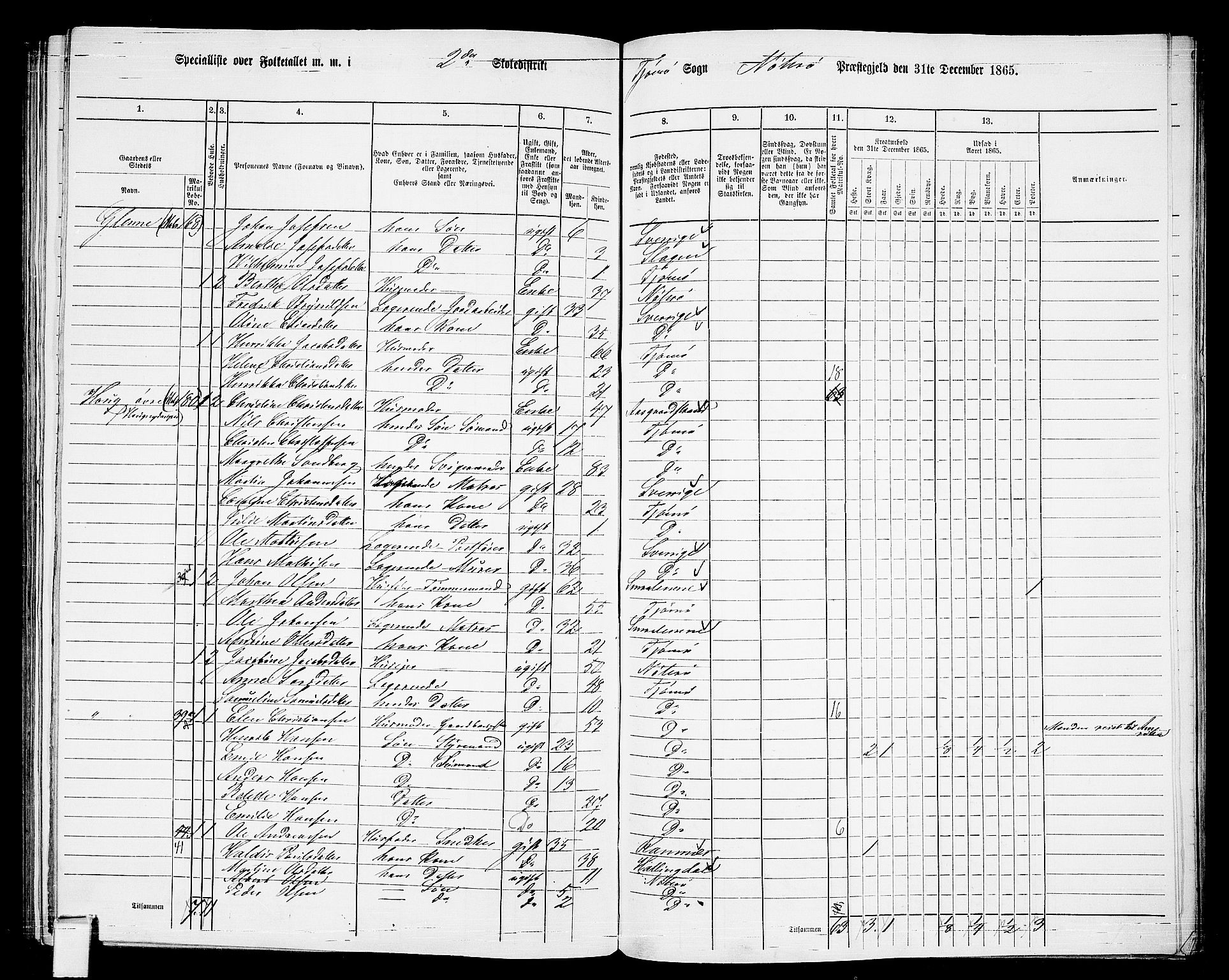 RA, 1865 census for Nøtterøy, 1865, p. 242