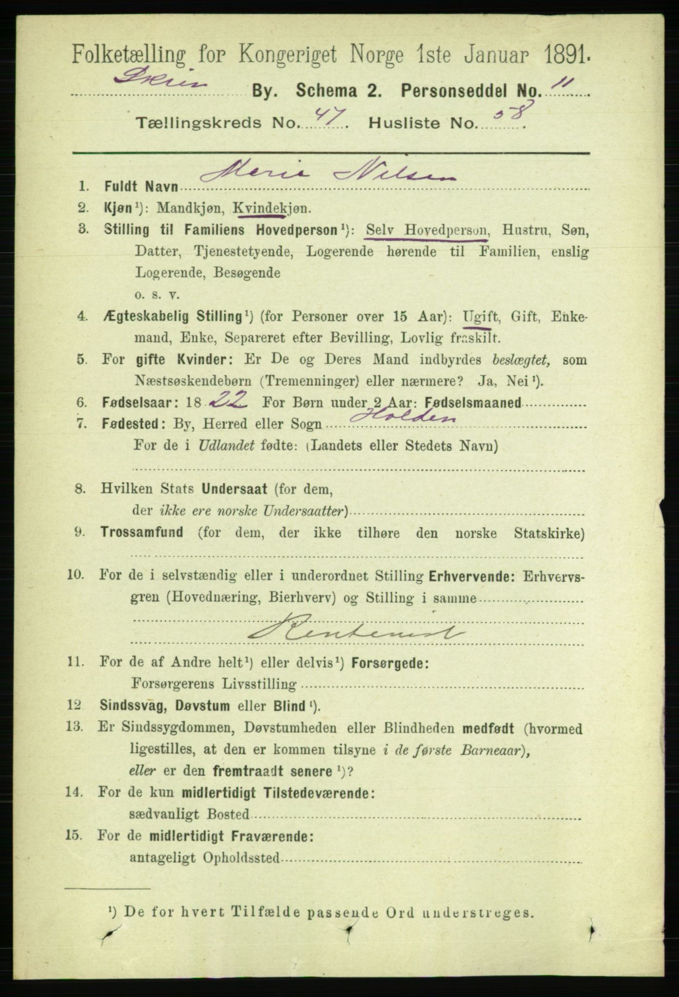 RA, 1891 census for 0806 Skien, 1891, p. 9767