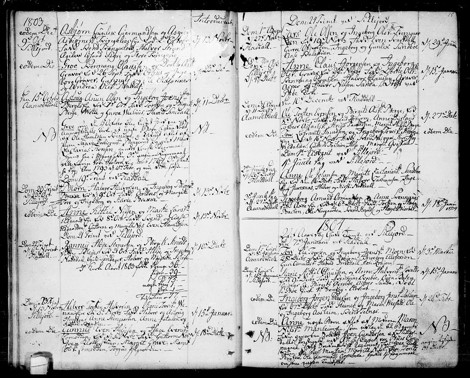 Seljord kirkebøker, AV/SAKO-A-20/F/Fa/L0009: Parish register (official) no. I 9, 1801-1814, p. 15