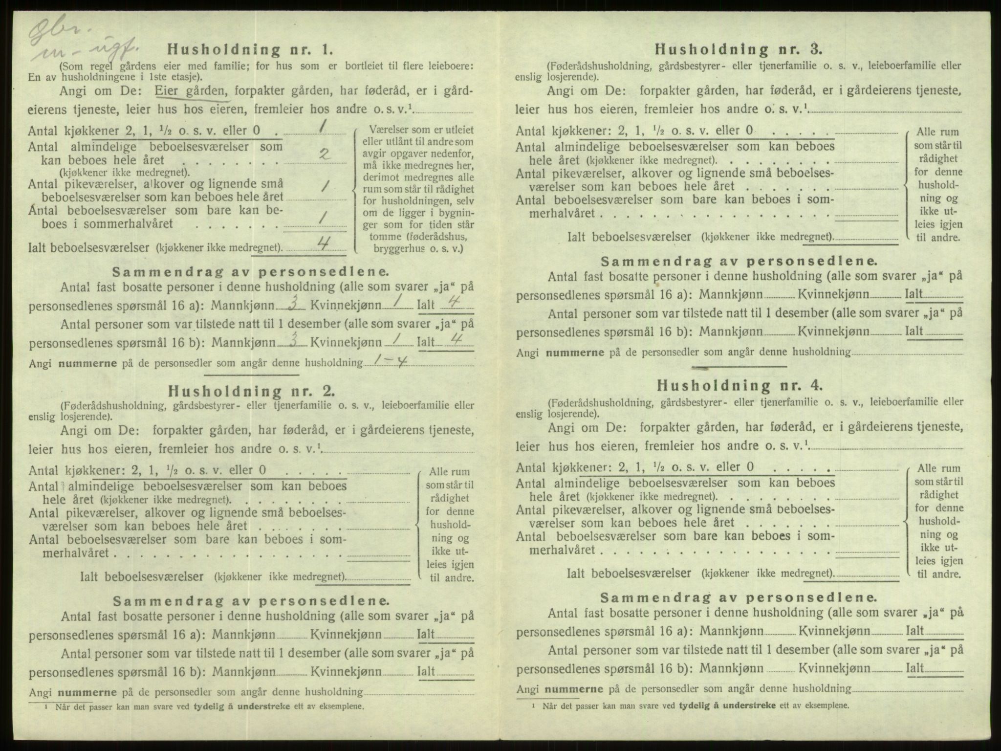 SAB, 1920 census for Hornindal, 1920, p. 316