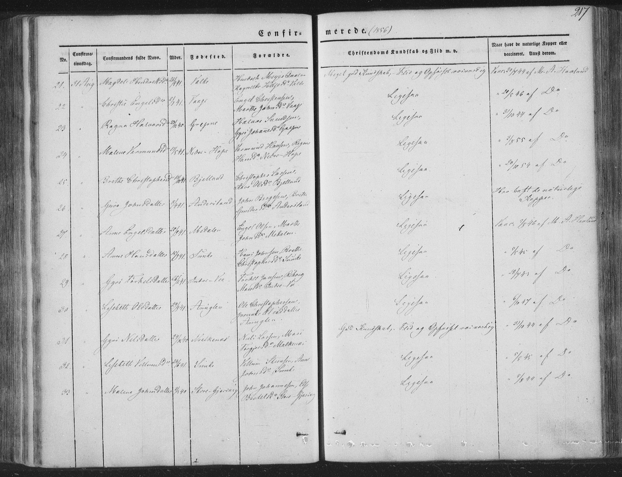 Tysnes sokneprestembete, AV/SAB-A-78601/H/Haa: Parish register (official) no. A 10, 1848-1859, p. 217